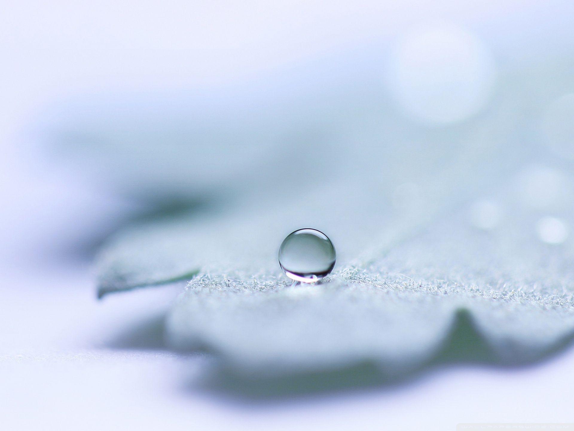 Water Drop ❤ 4K HD Desktop Wallpaper for • Dual Monitor Desktops