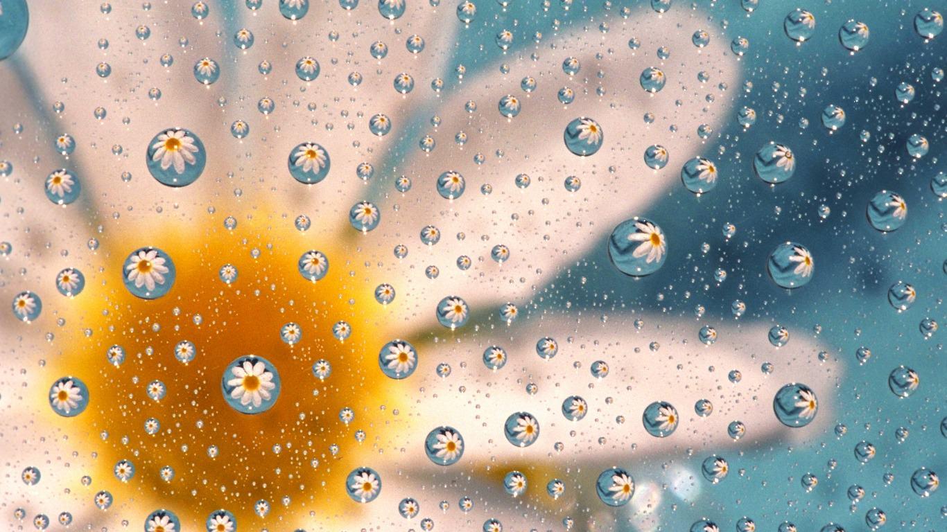 WaterDrops Wallpaper, Background, Image