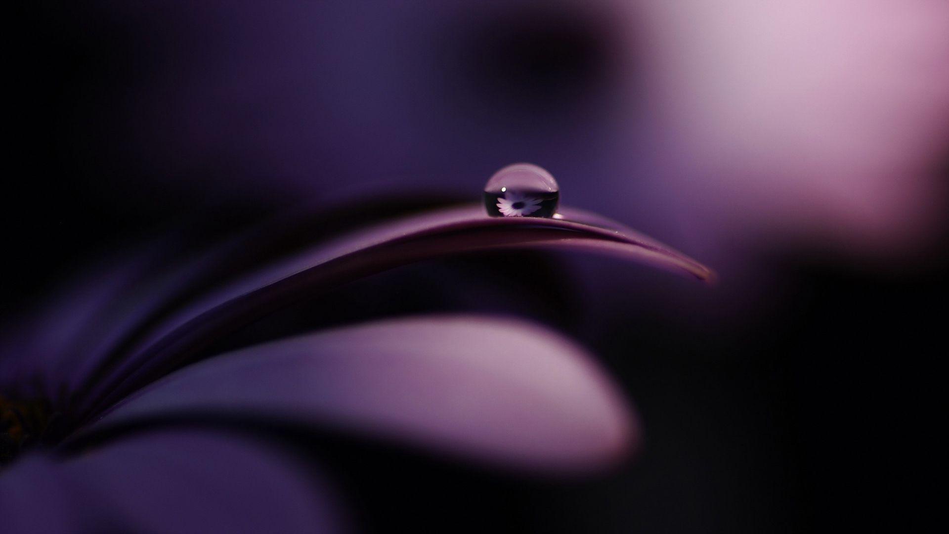 Water Drop Wallpaper, Background, Image. Design Trends