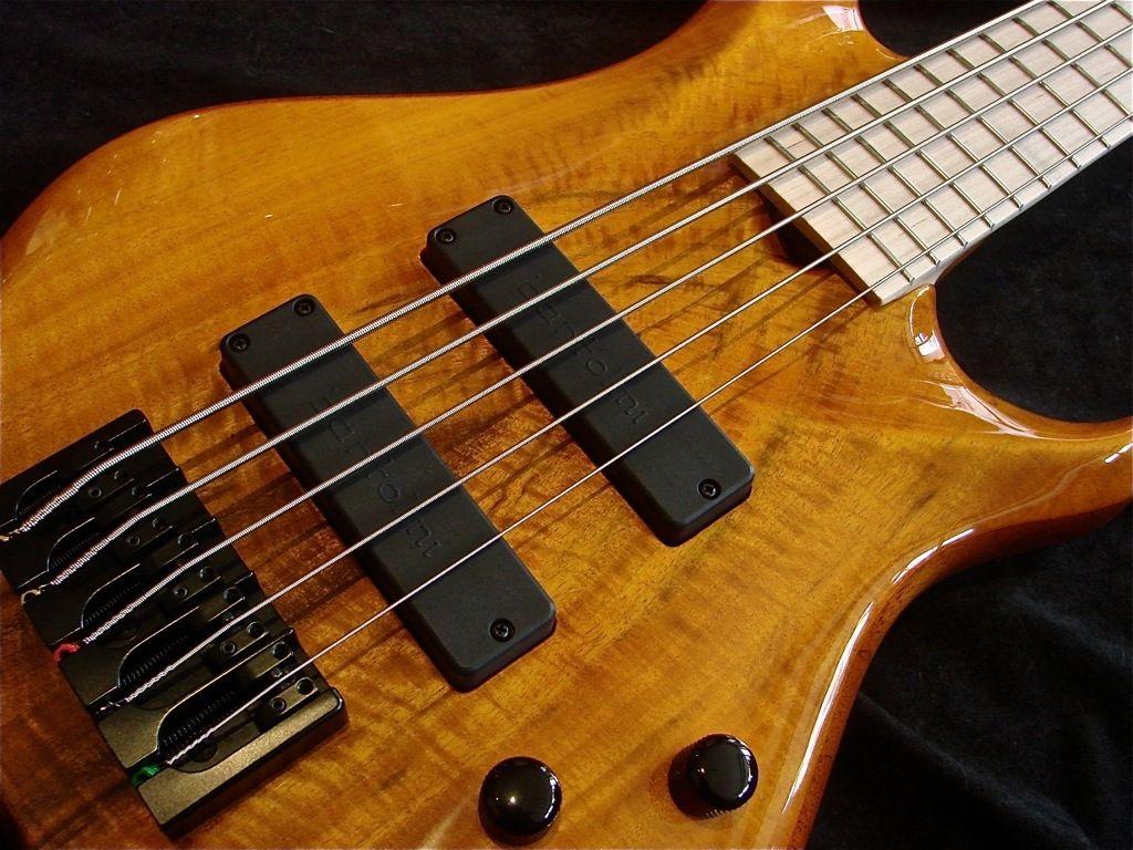 Roscoe SKB 3005 Flame Maple 5 String SOLD!