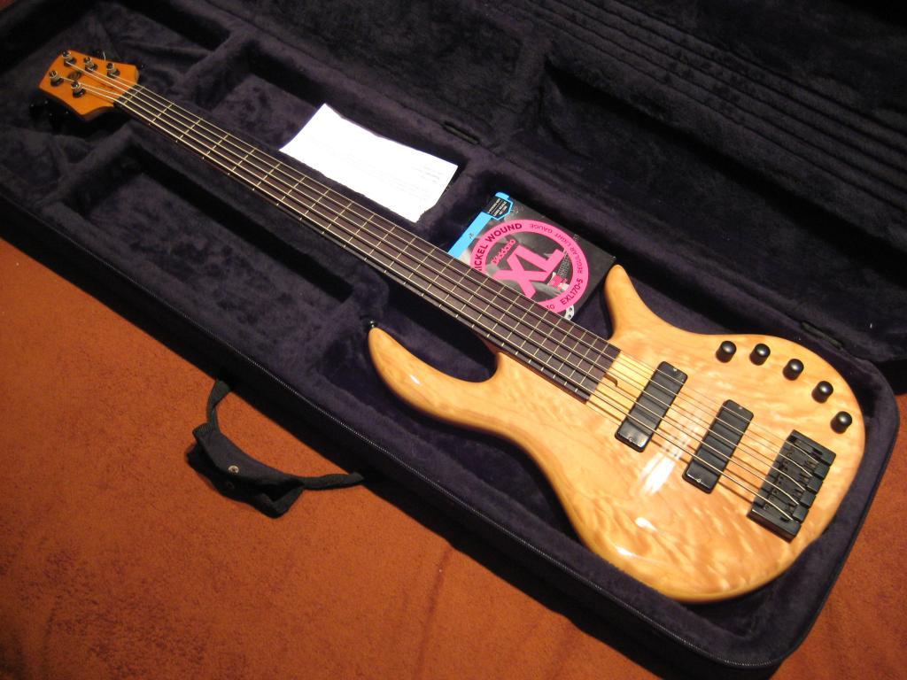 SOLD Elrick Josh Paul 5 JP5 5 String Bass Guitar RB5