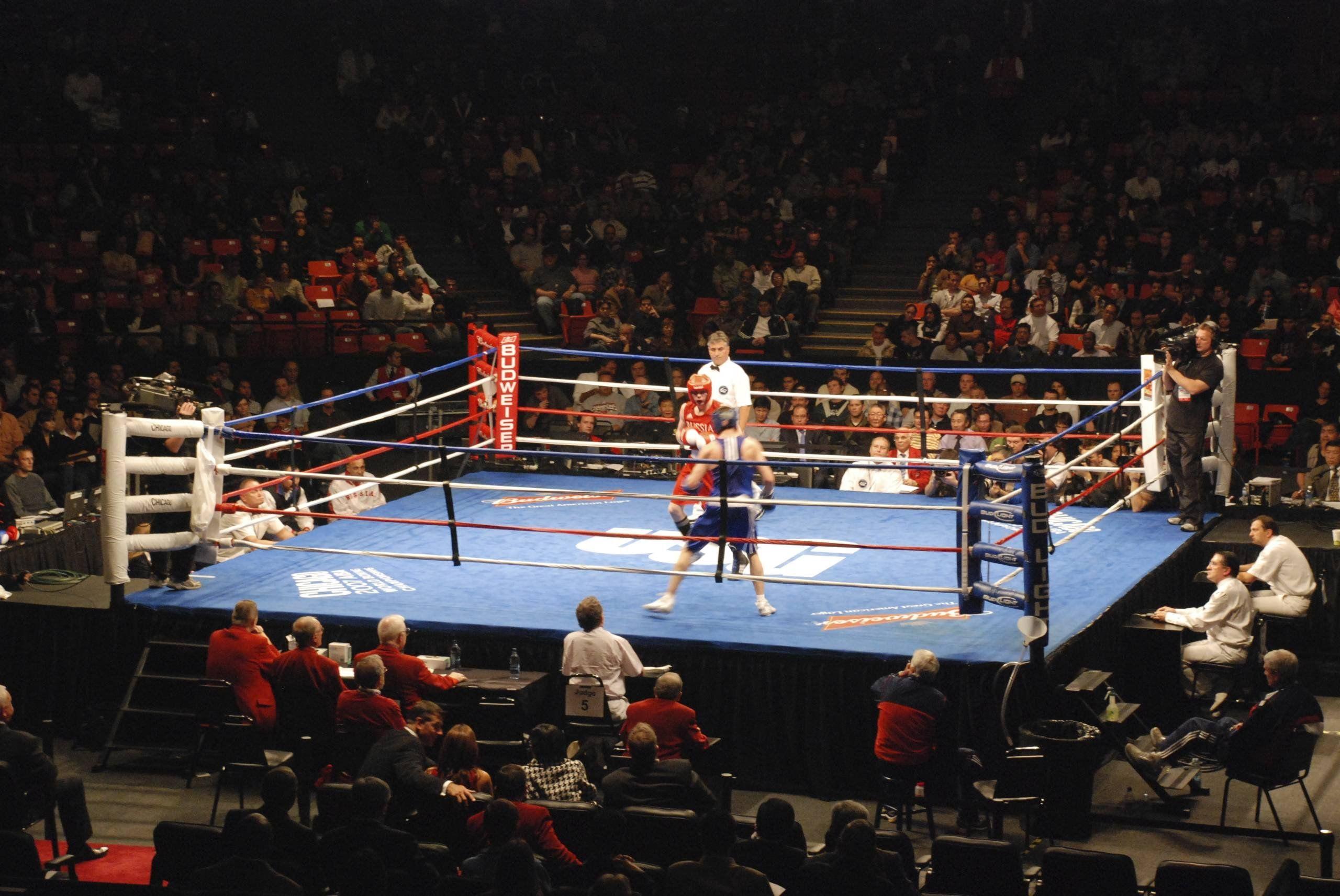 Le Boxing. Epic Rap Battles of History