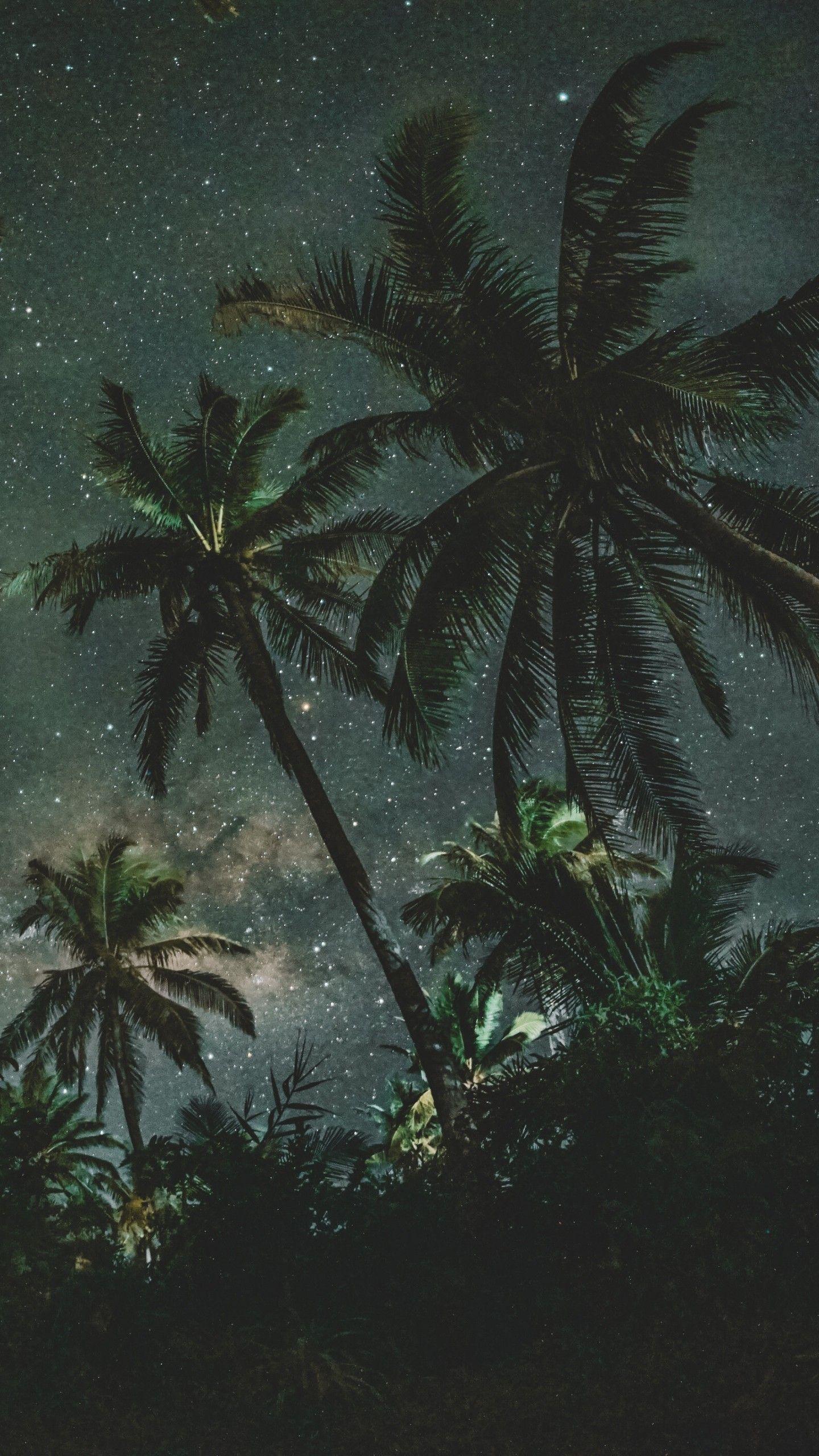 Palms Trees Starry Sky Wallpaper - [1440x2560]