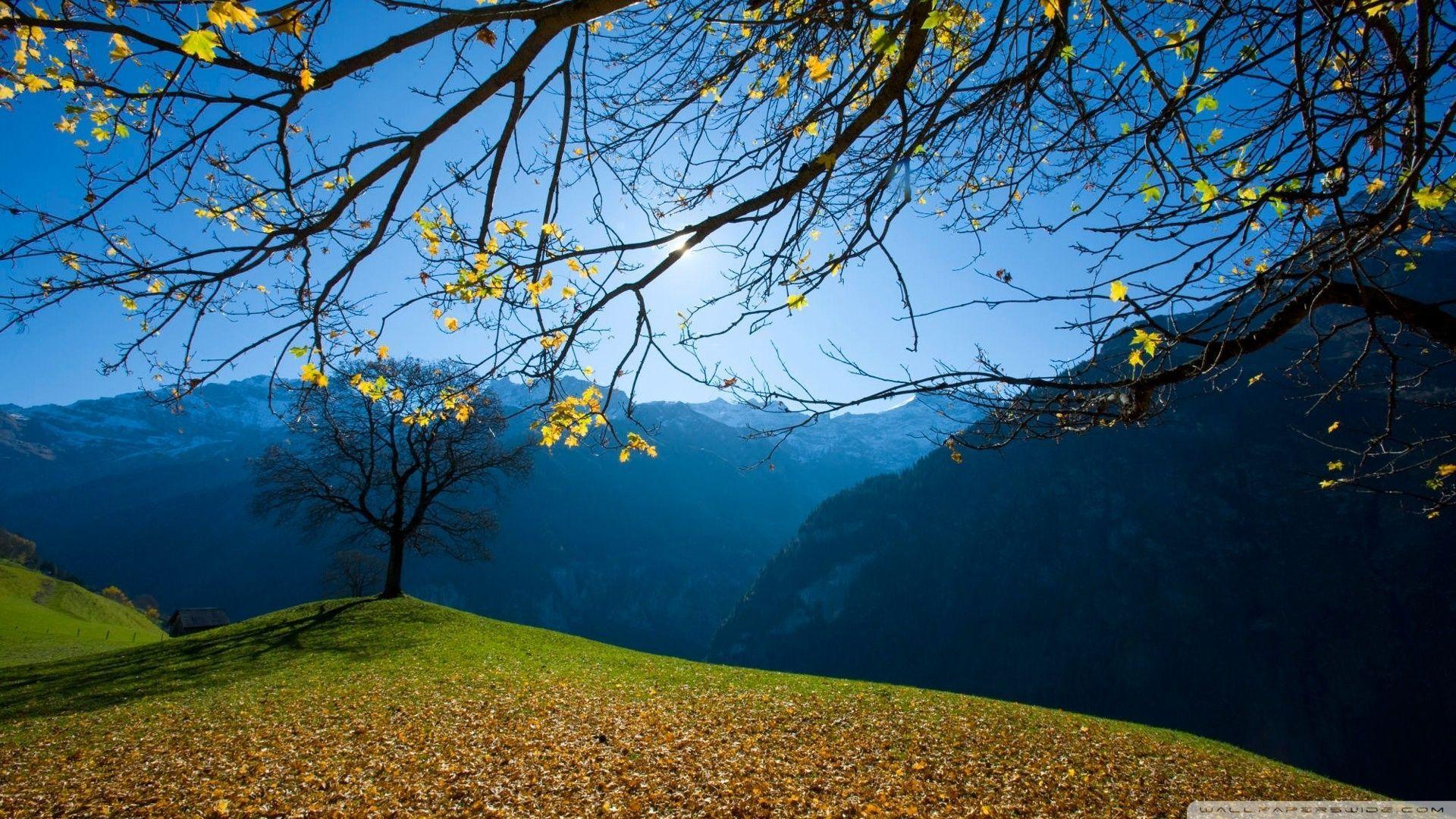 Switzerland in Autumn. Switzerland. Beautiful nature