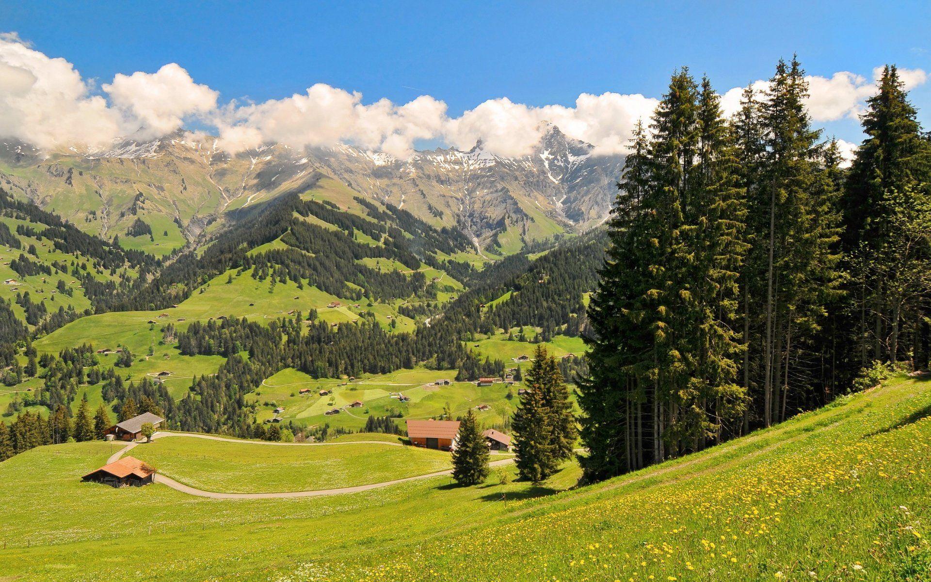 HD Swiss Alps