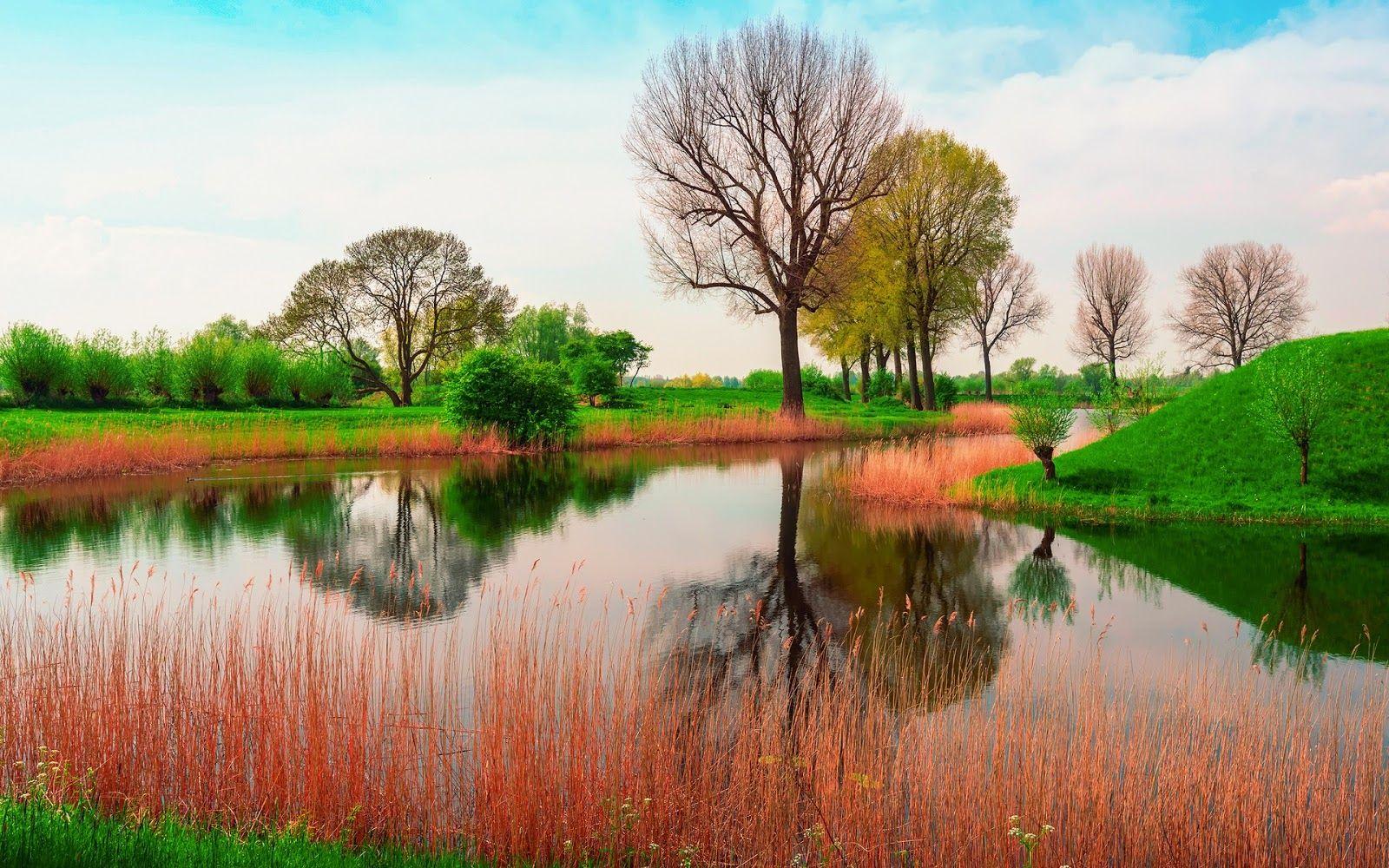 Best Spring Landscape HD Wallpaper