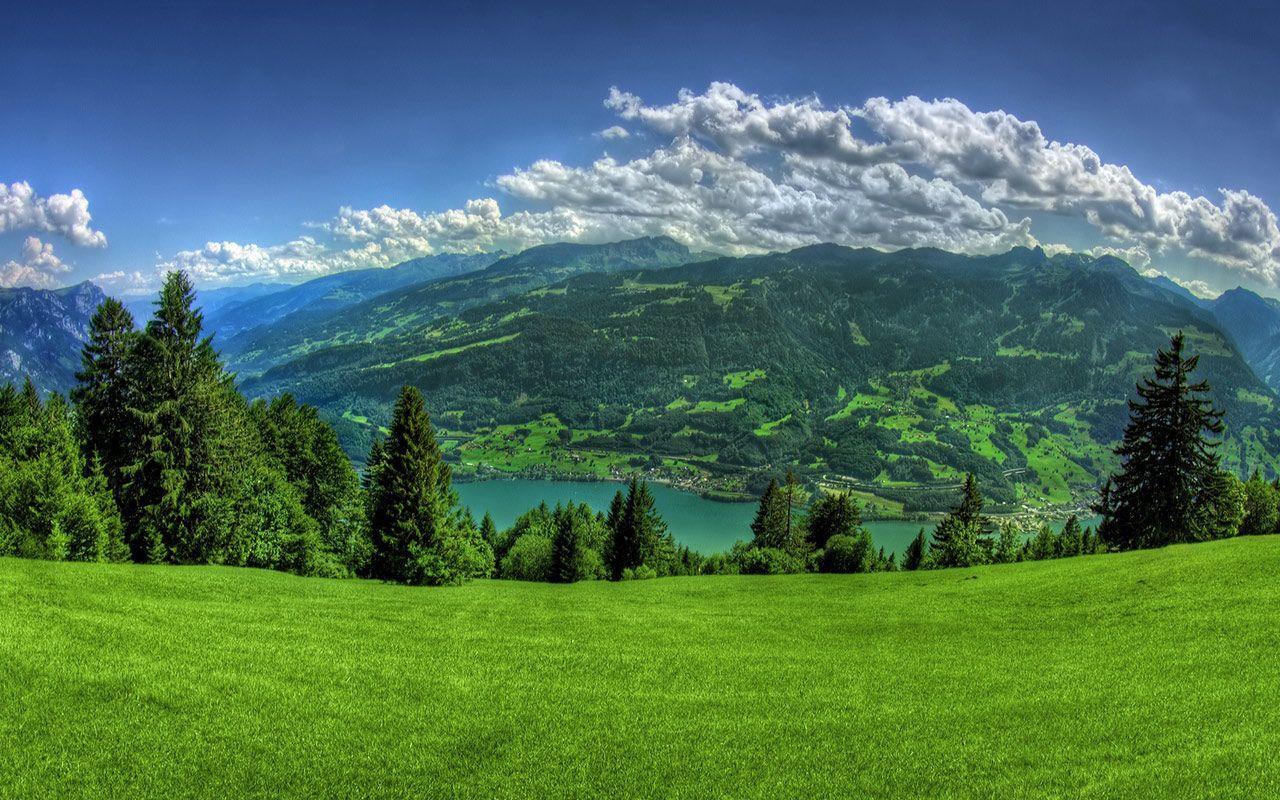 Swiss Alps In Summer Landscape
