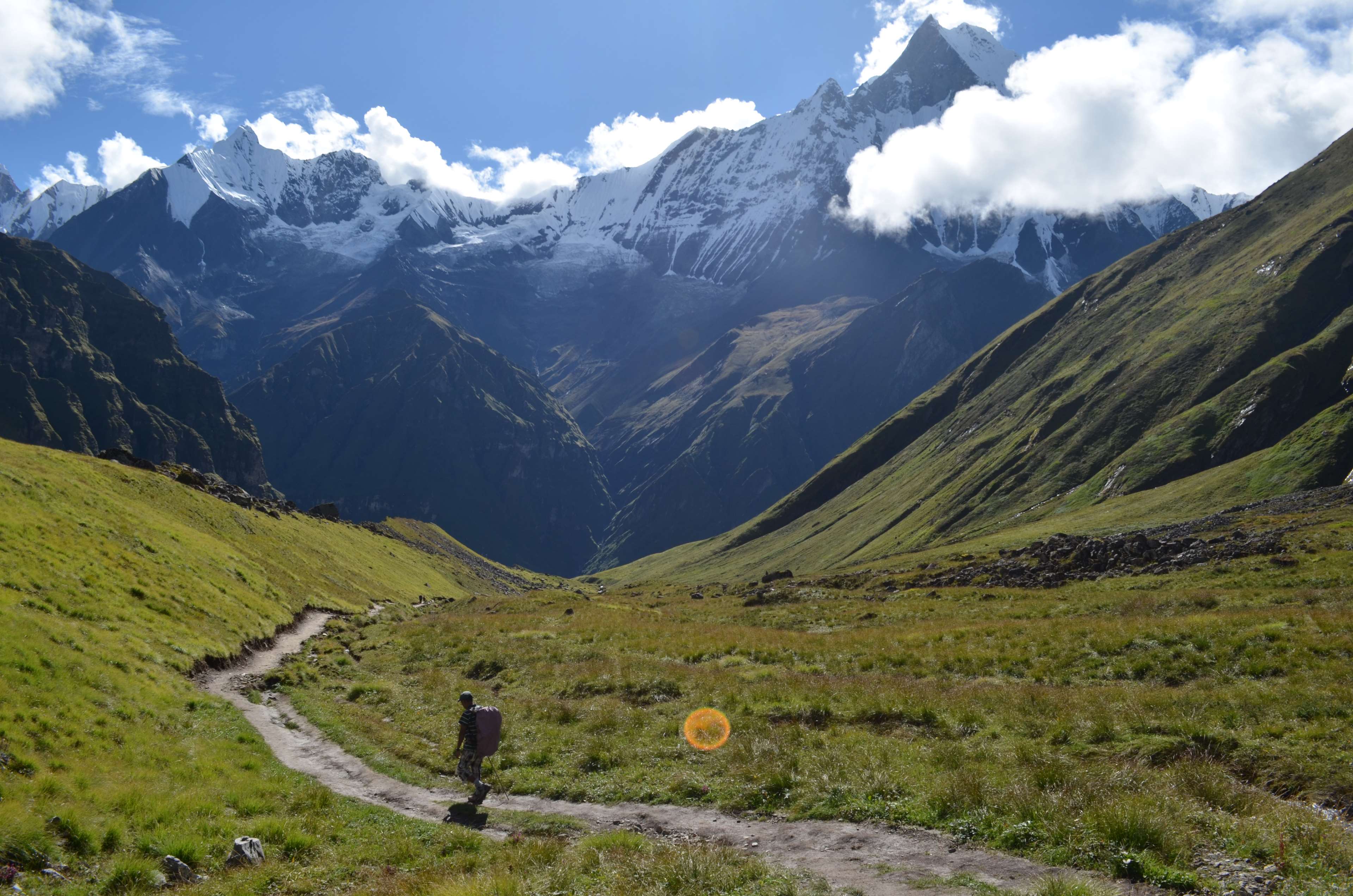 forest, himalaya, mountain, nature, nepal, snow, travel, trekking 4k