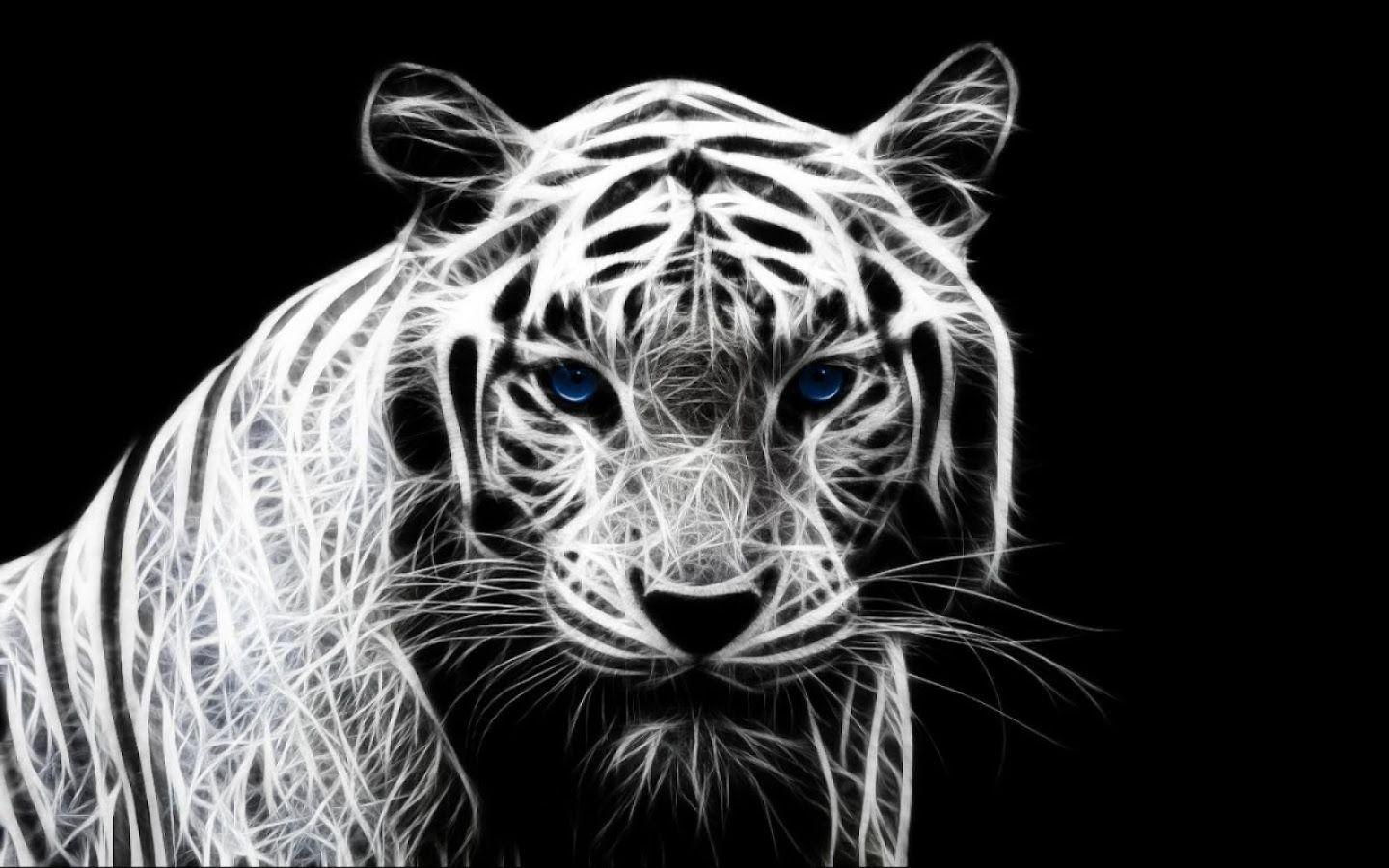 3D White Tiger Wallpaper. Tiger wallpaper, White tiger