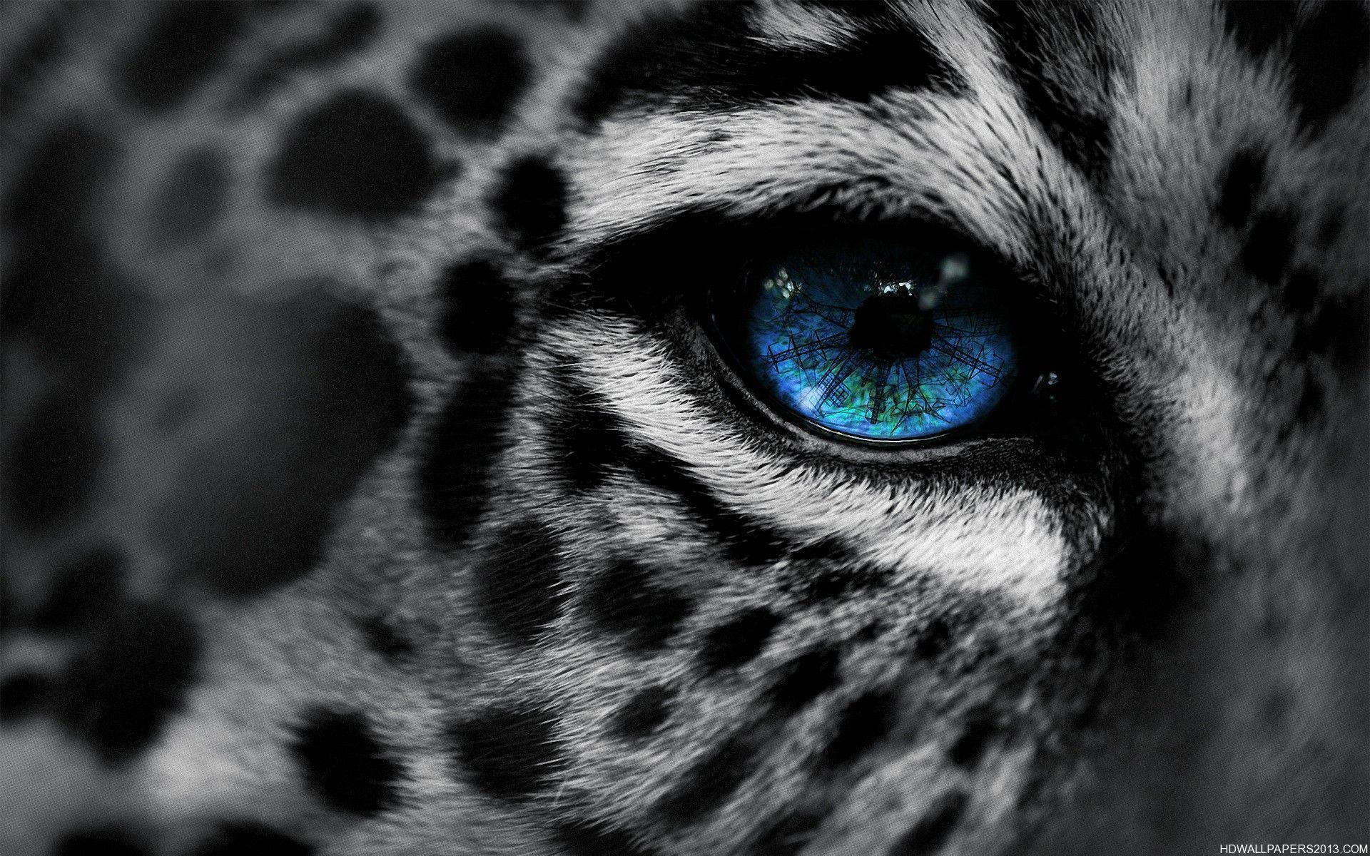 Bengal Tiger Siberian Tiger Eye Live Wallpaper - download