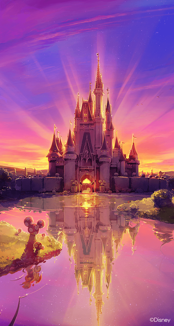 tumblr_o3Dog6RhNn1rmt3gxo1_1280.png (679×1272). Disney background, Disney castle, Disney wallpaper