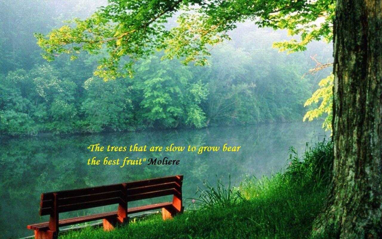 Beautiful Image Of Nature With Quotes