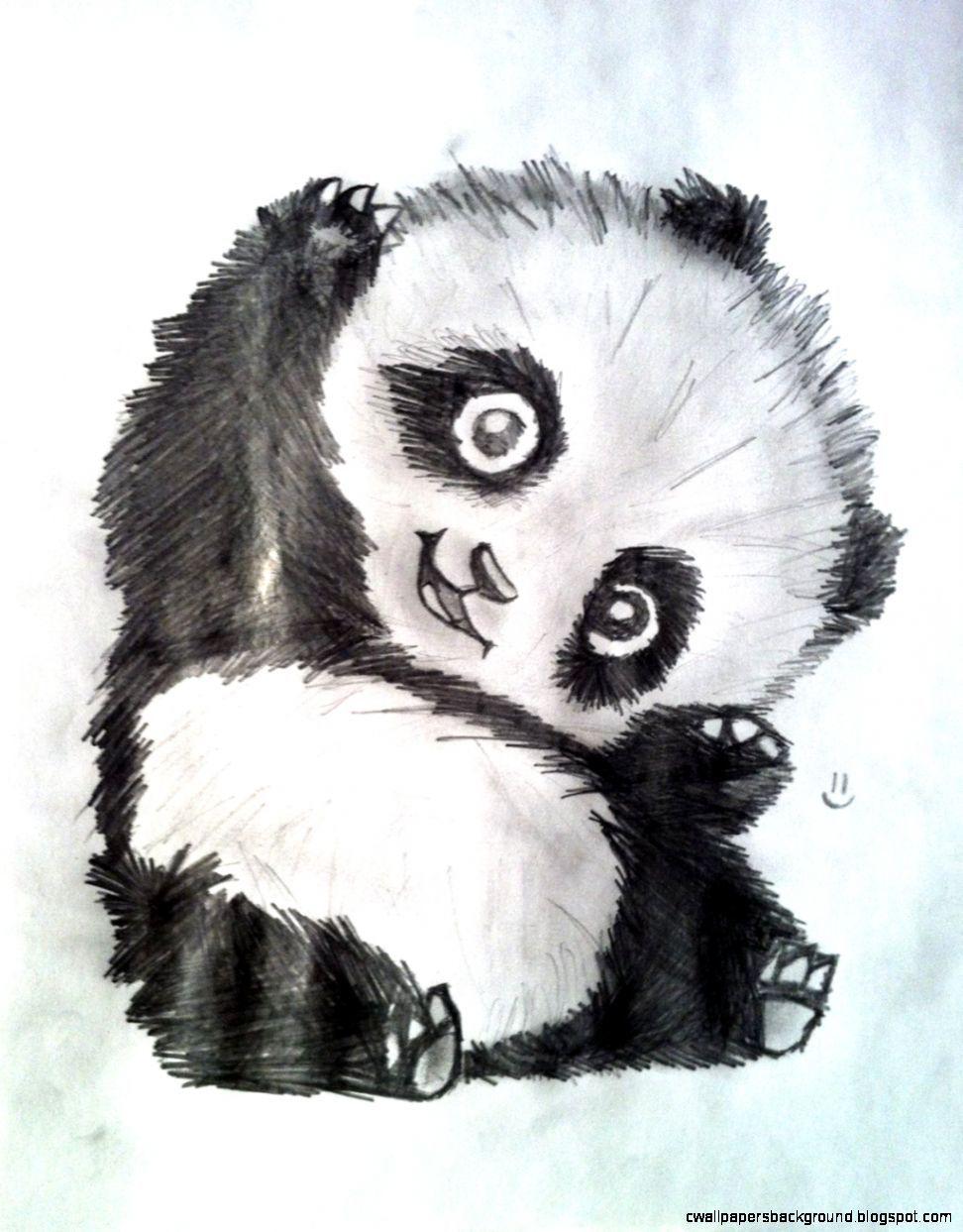 Cute Panda Drawings Tumblr