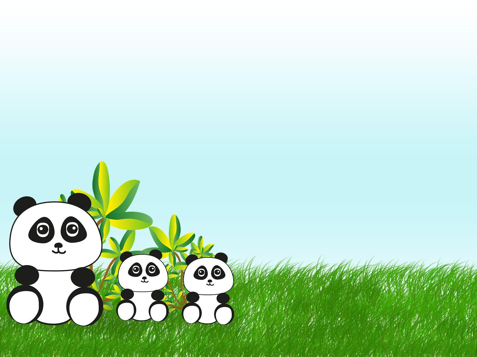 image of Office Background Pandas