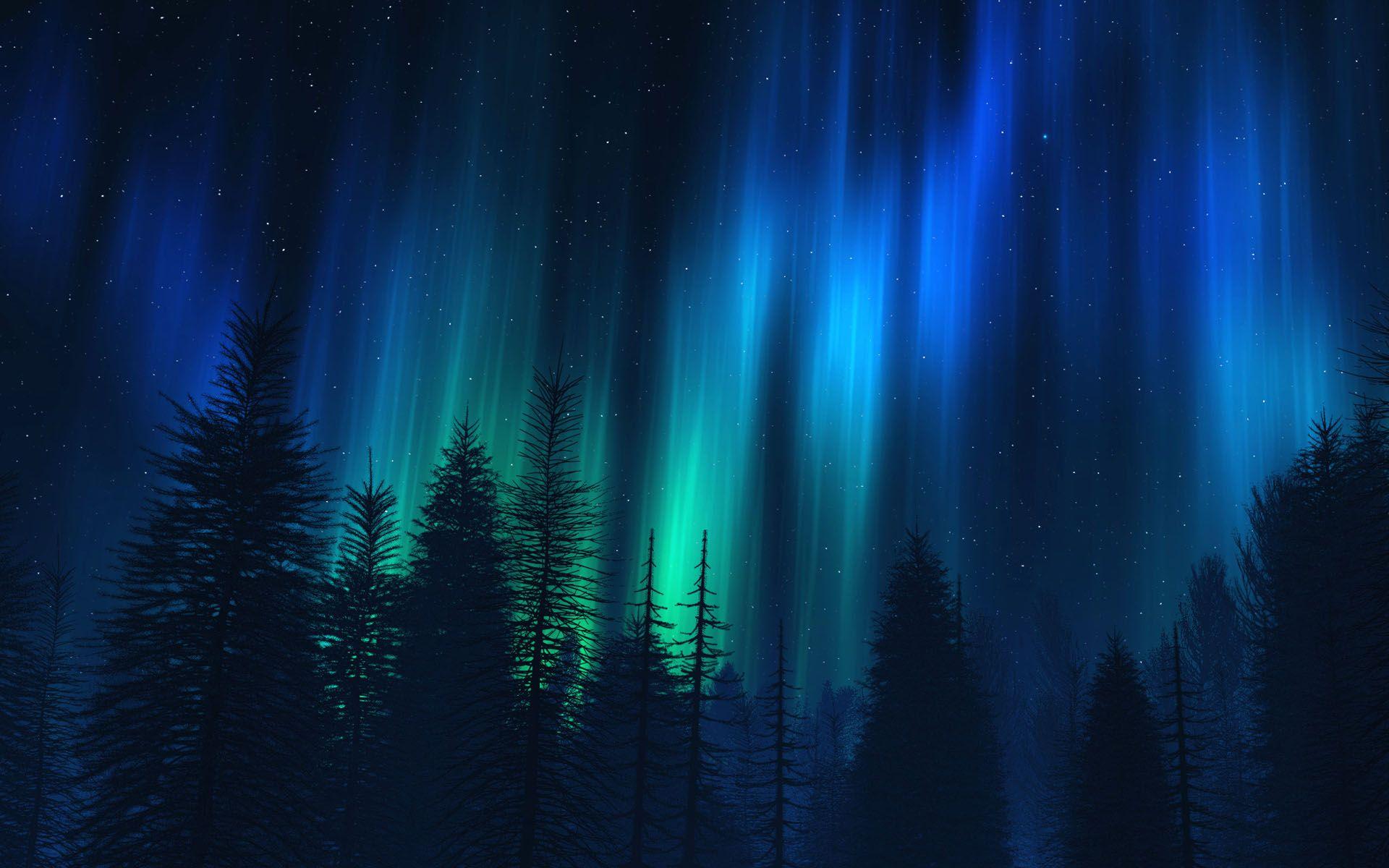 Aurora Borealis Forest Hd Wallpaper. Download Free HD Wallpaper