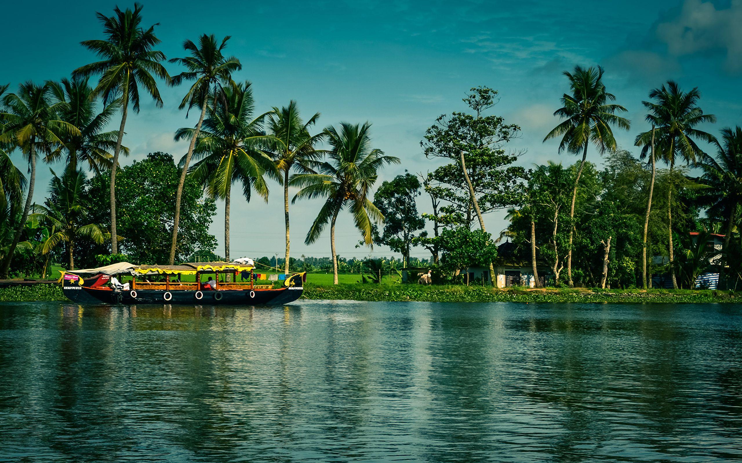 Image India Alappuzha Kerala Nature Riverboat palm trees 2560x1600