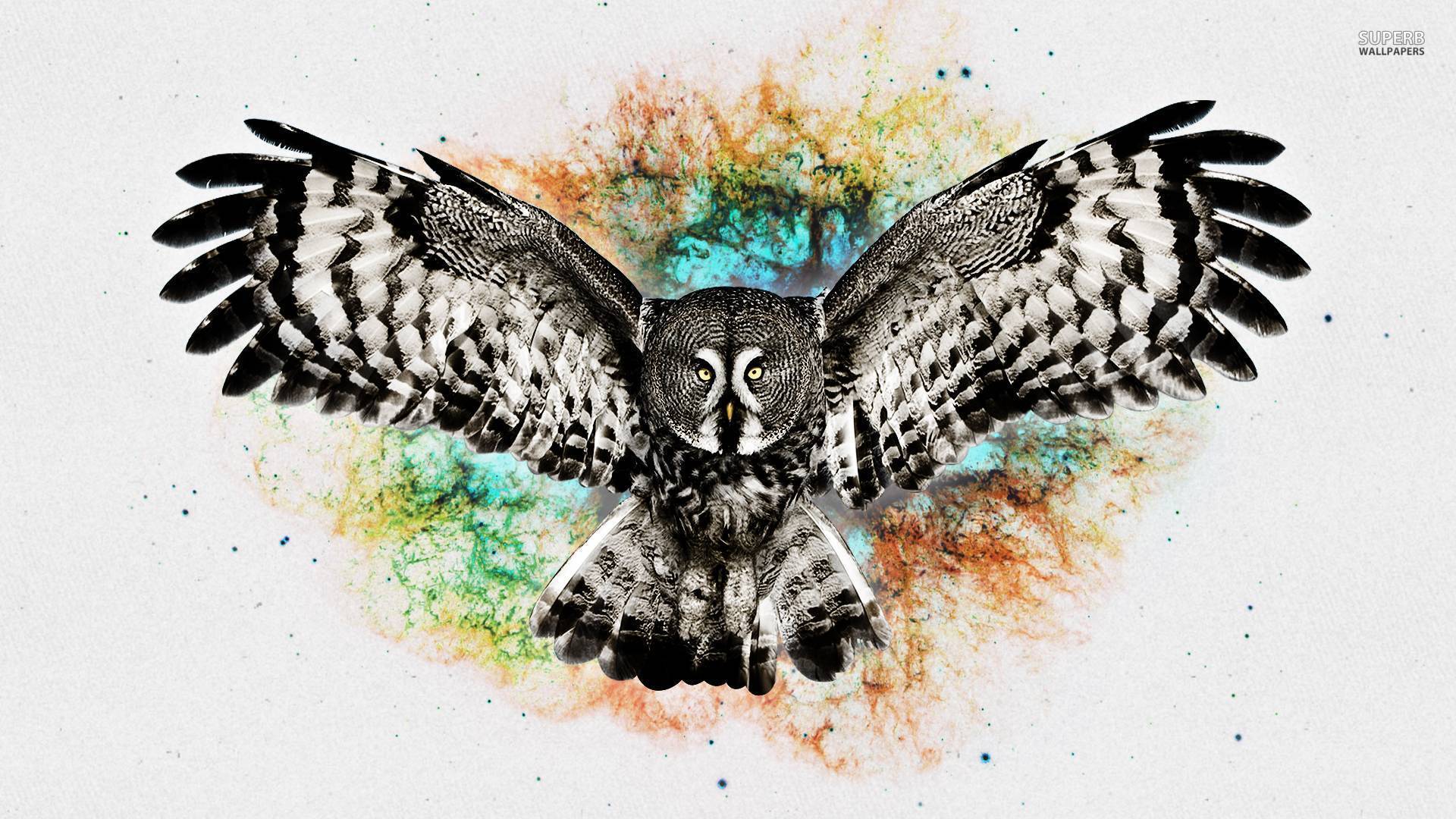 Owl Wallpaper, Background, Image, Picture. Design Trends