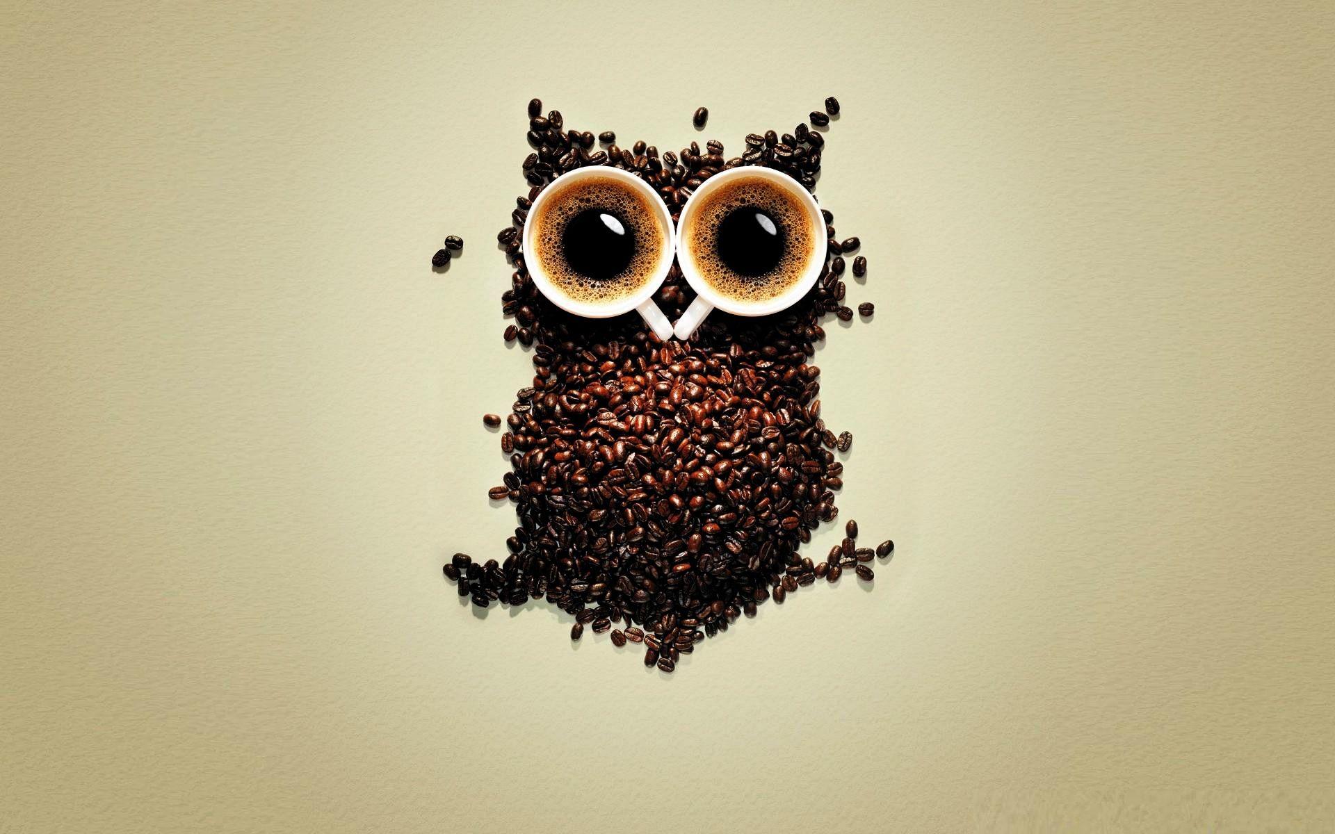 Funny Coffee Owl Wallpaper For Mobile. Download Desktop Background
