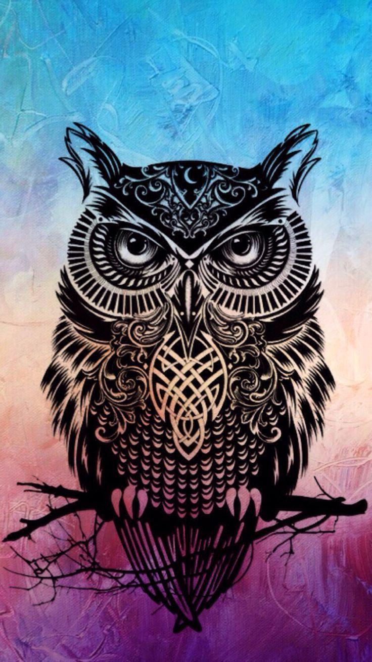 Owls. Owl background