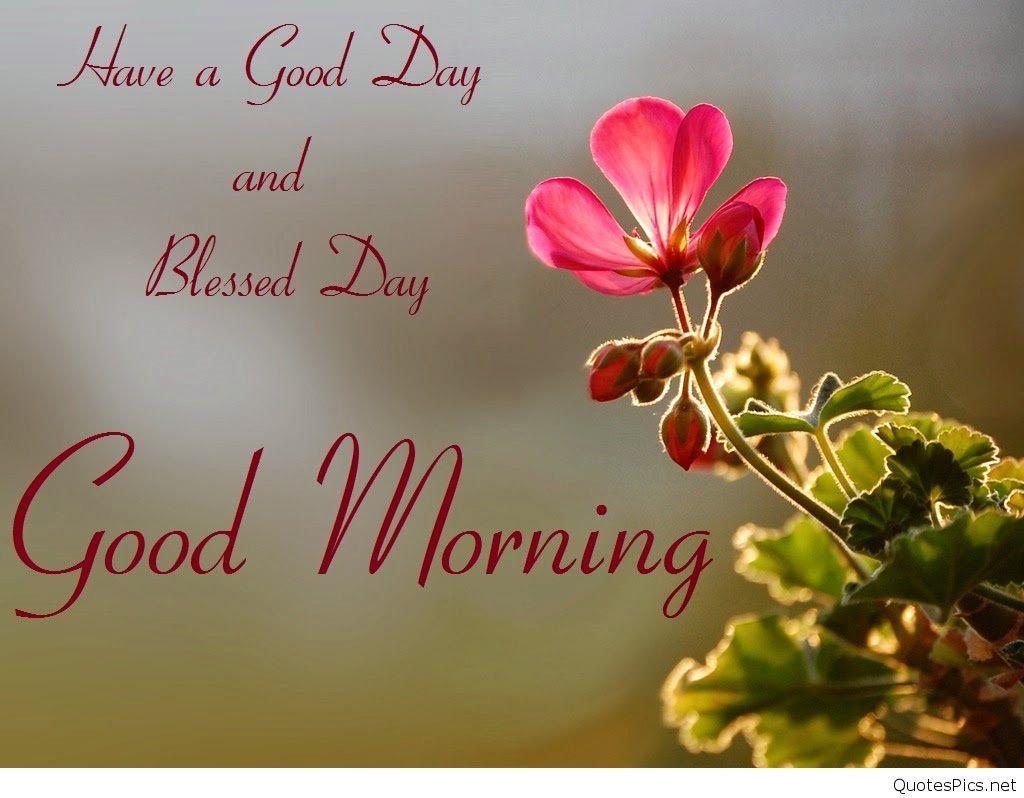 Good Morning Friends Wallpapers For Facebook - Wallpaper Cave