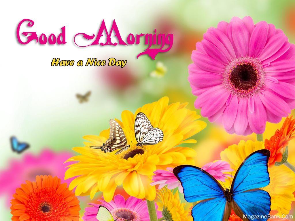 Good Morning Friends Photo For Facebook