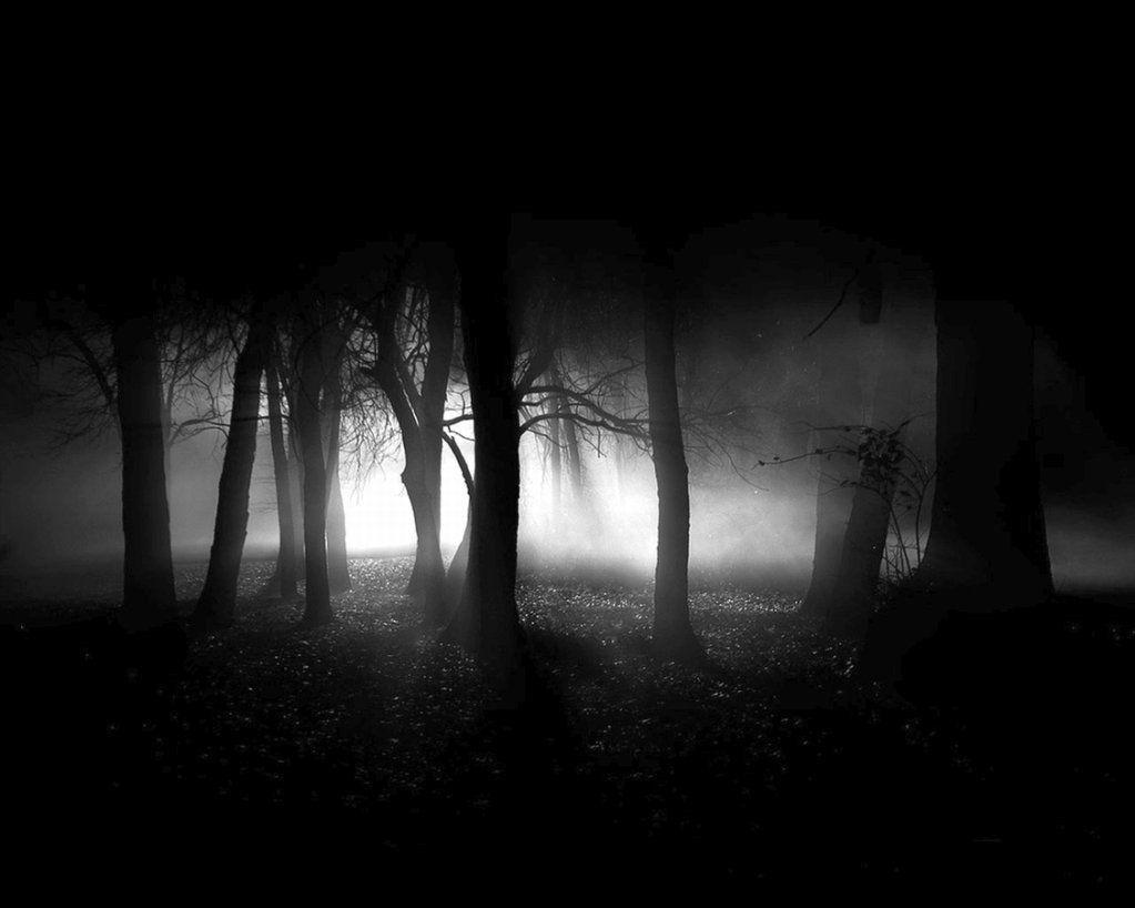 Dark Forest HD Wallpapers - Wallpaper Cave