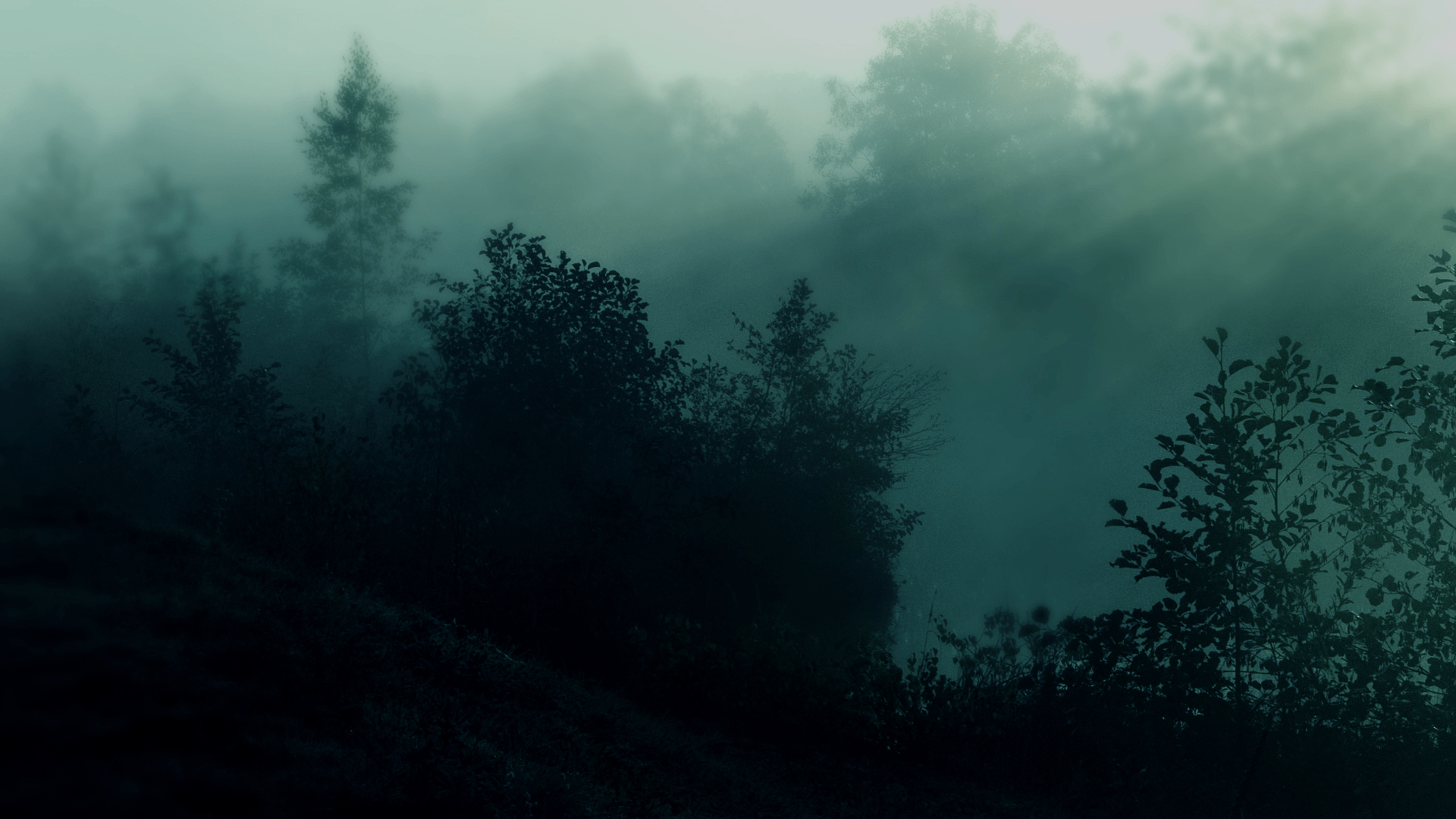 teal wallpaper HD dark forest. ololoshenka. Teal