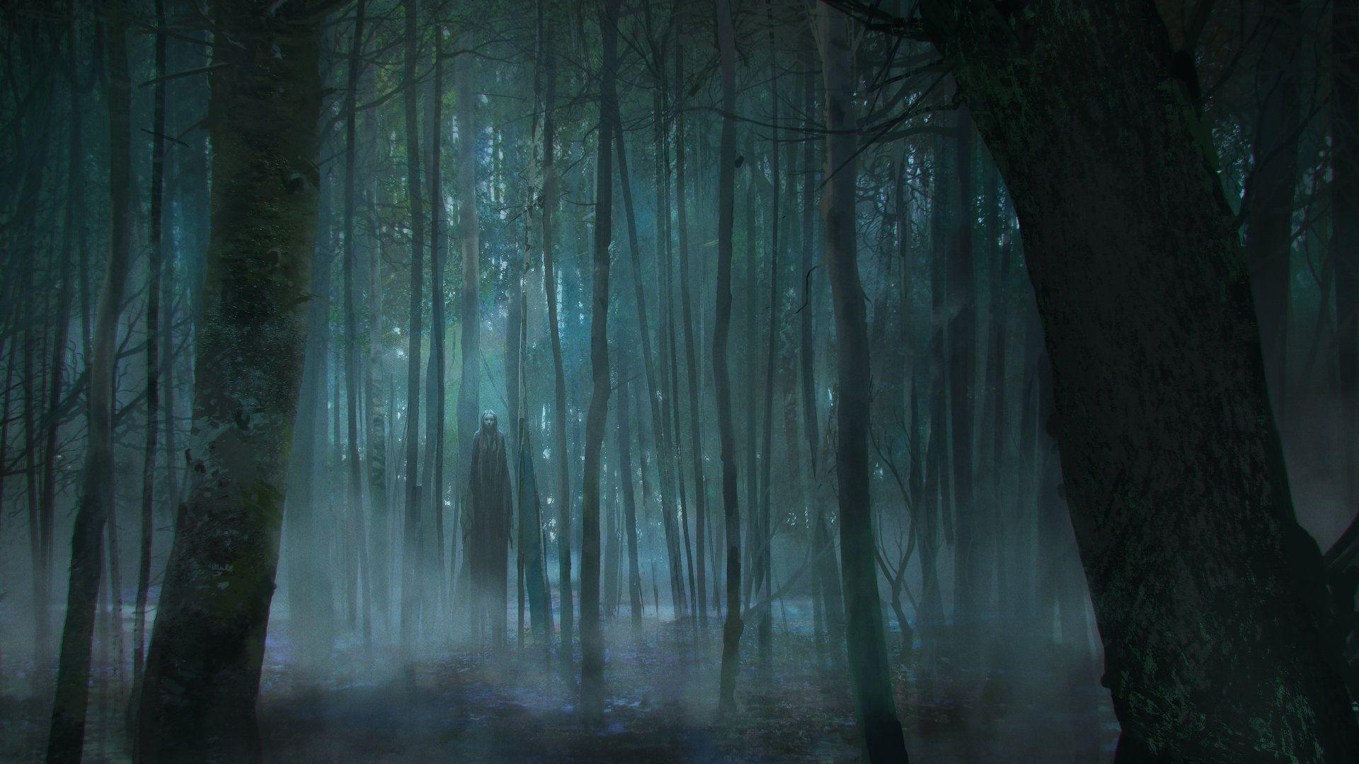 Creepy Dark Forest HD Wallpapers.