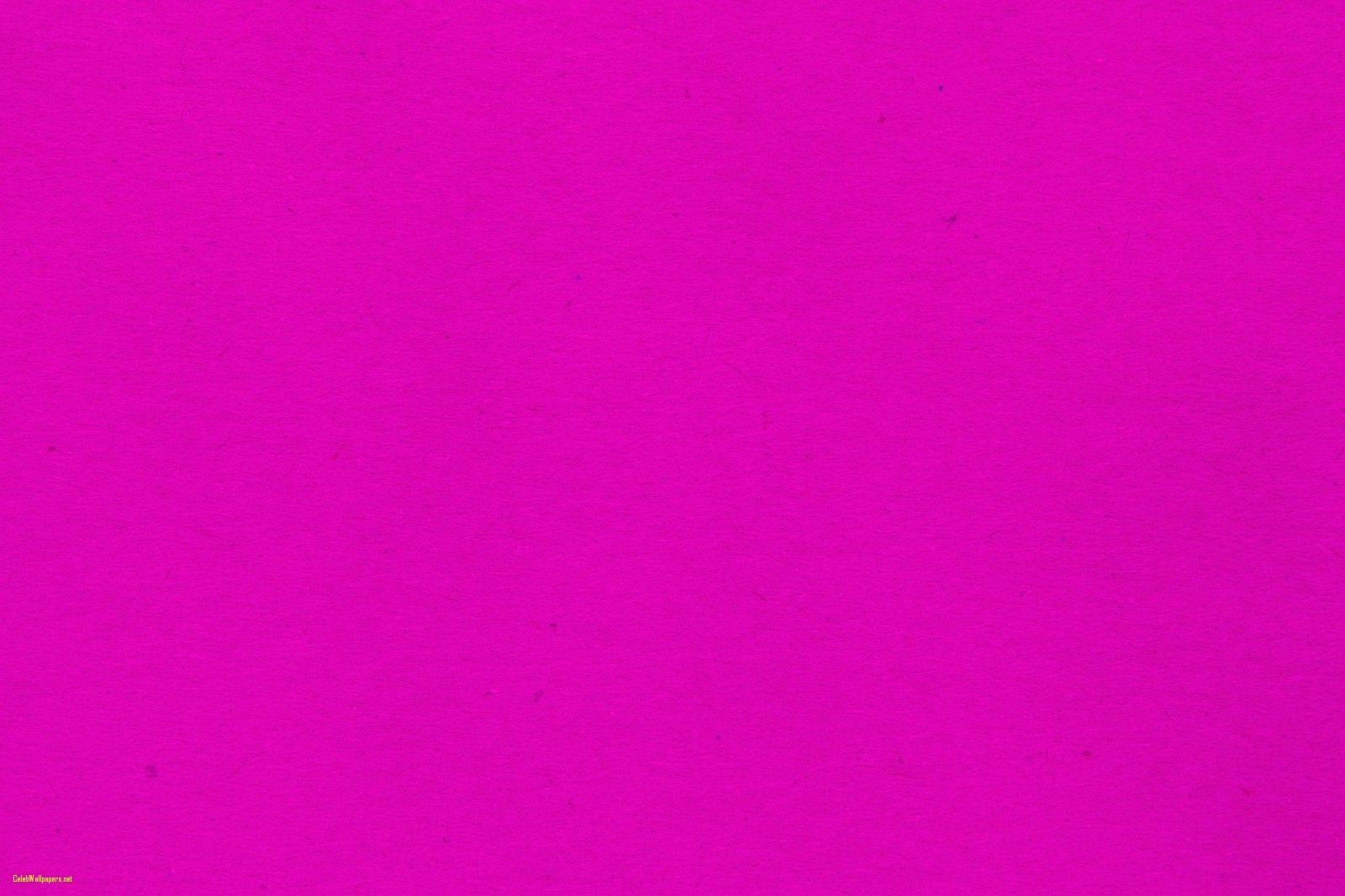 Bright Pink Wallpaper Browse Beautiful Plain Pink