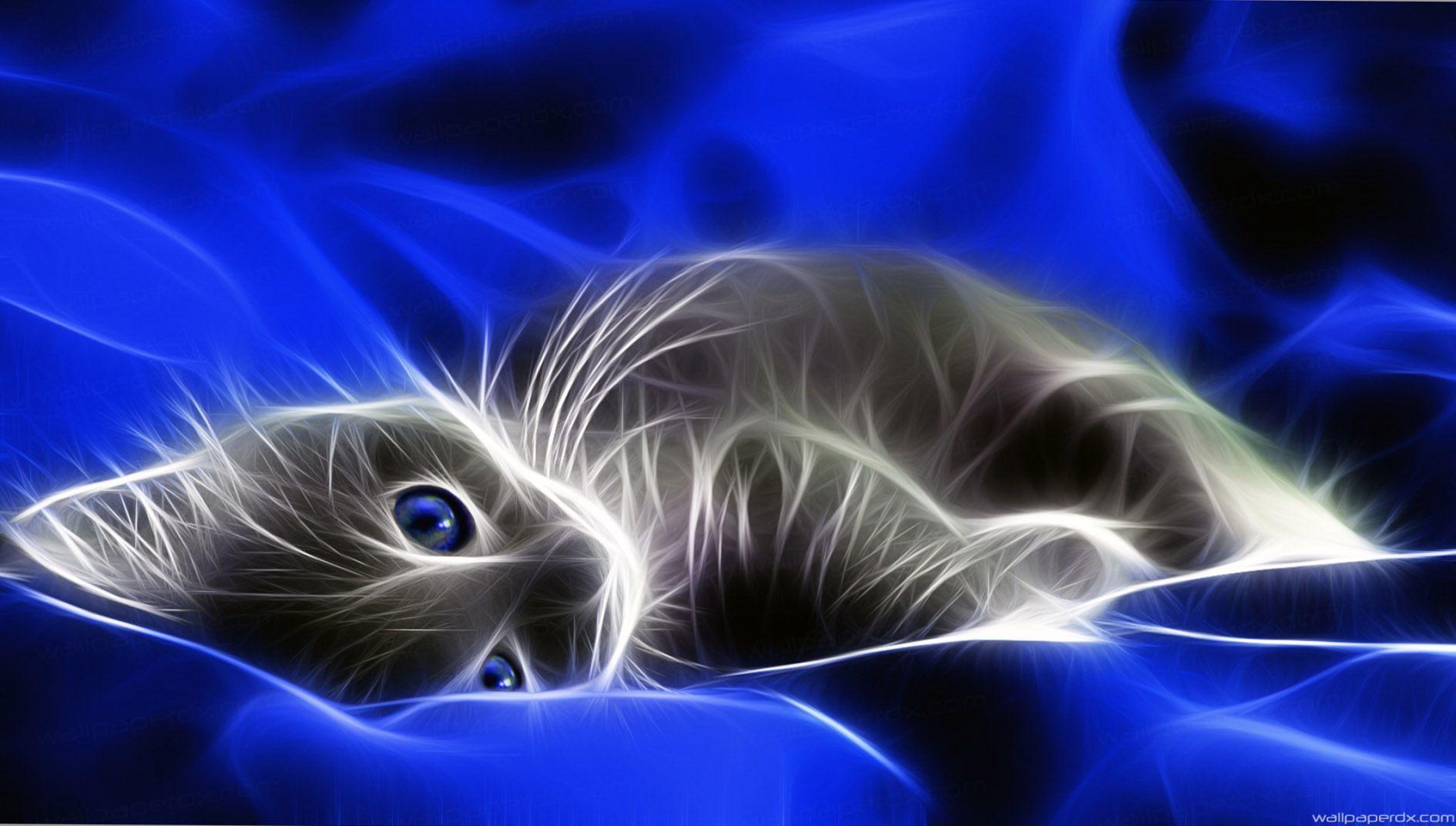 negative cat effect blue bed full HD wallpaper.com