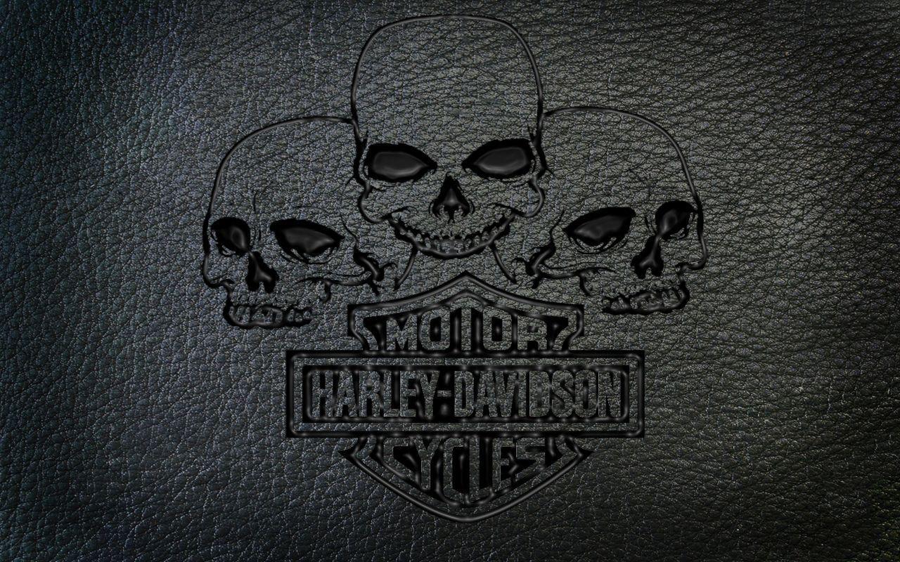 Harley Davidson Logo Skull. Design Inspiration. Harley
