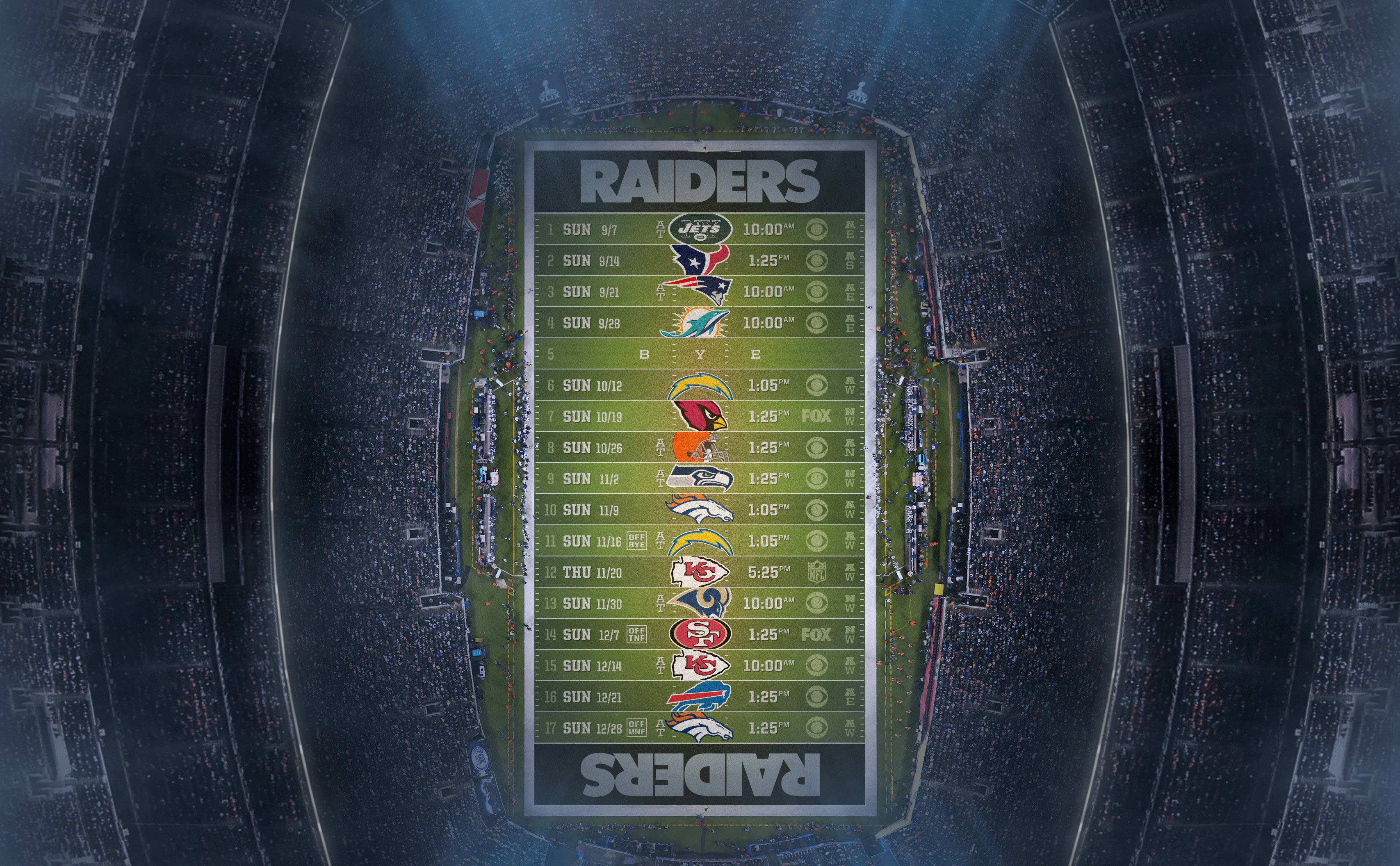 Free Download Raiders Background