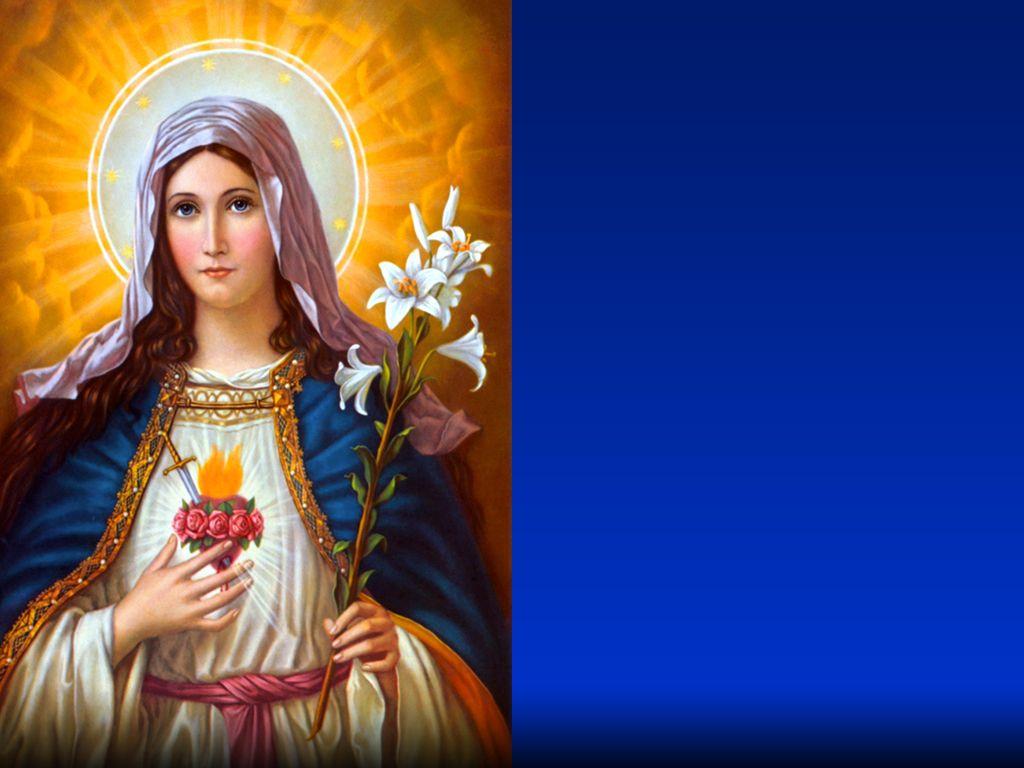Holy Mass image.: IMMACULATE HEART OF MARY