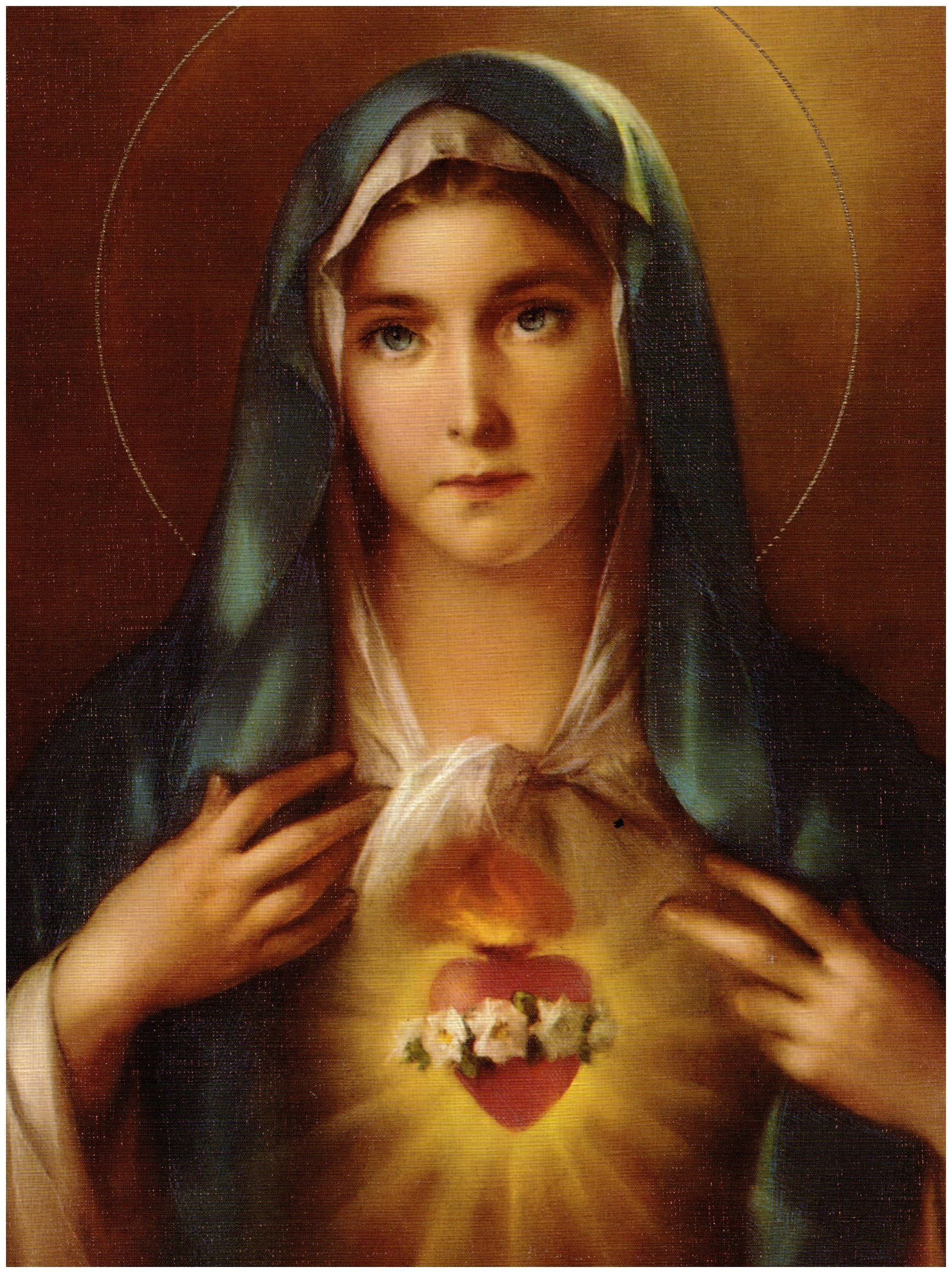 Immaculate Heart Of Mary Wallpapers Wallpaper Cave