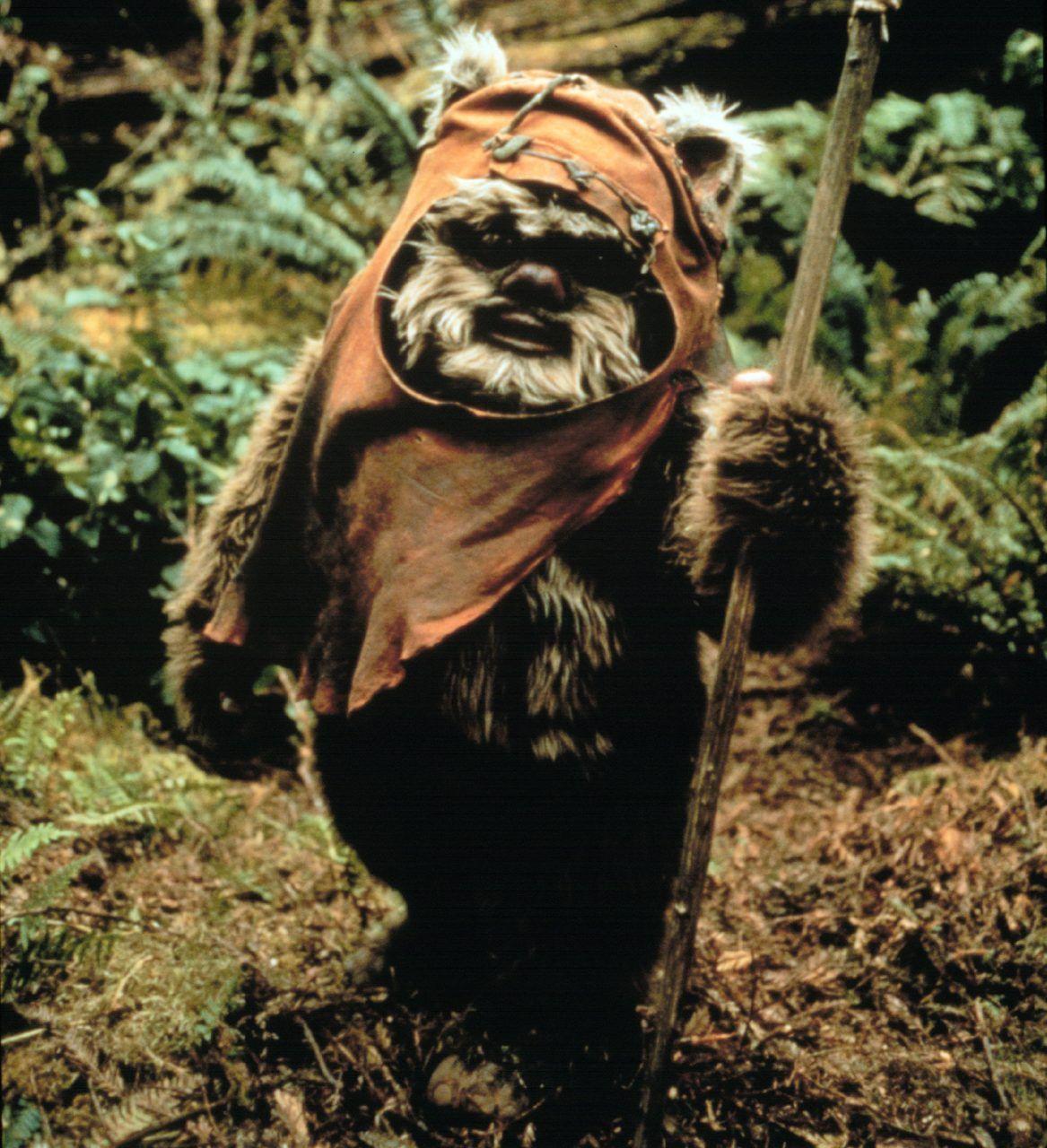 The Green Light. In Eternal Defence Of The Ewokseel
