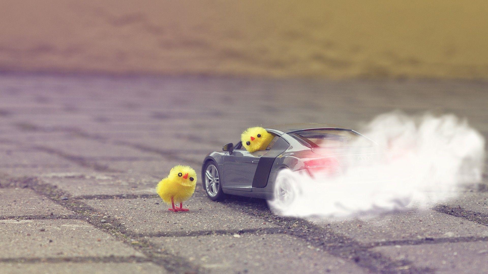 Audi r8 v8 burnout cars chickens wallpaper