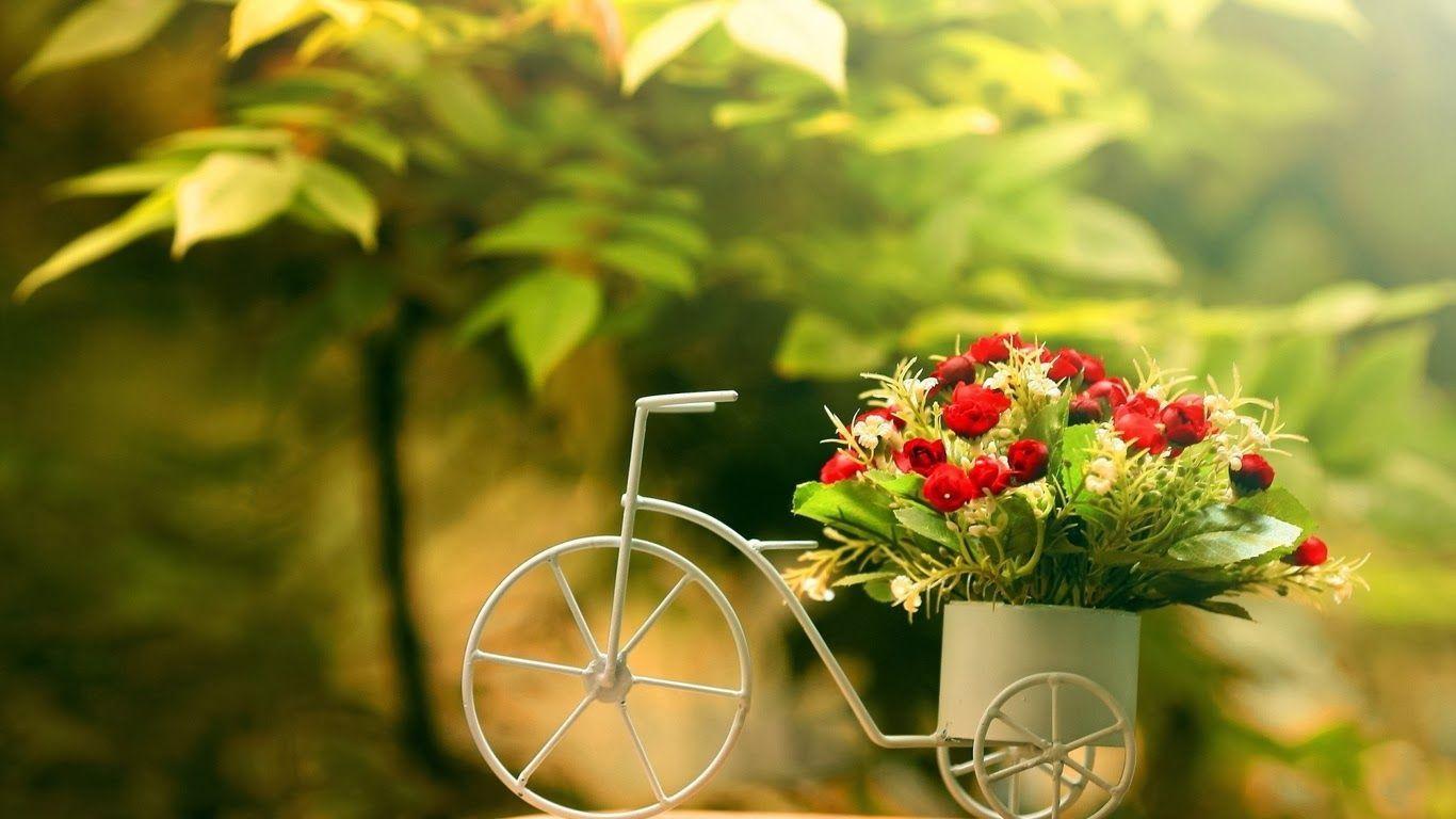 Trendy Wallpaper Wallpaper. HD Wallpaper. Trendy