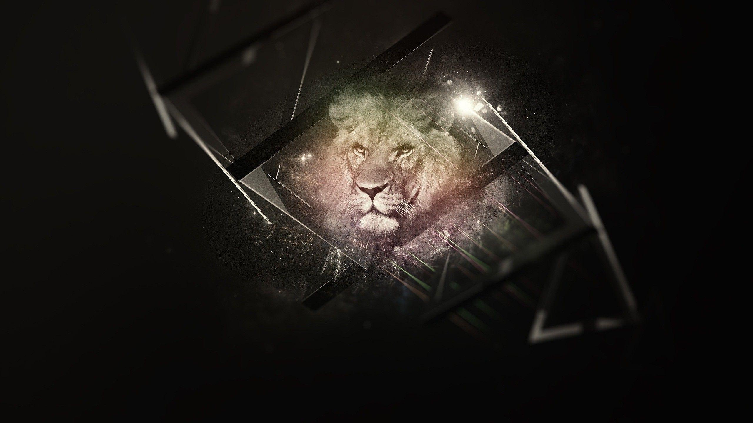 nature, Animals, Artwork, Lion, Digital Art, Black Background