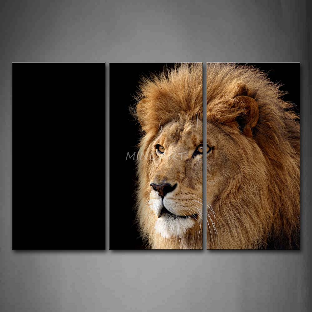 Piece Wall Art Painting Lion At Black Background Print On Canvas