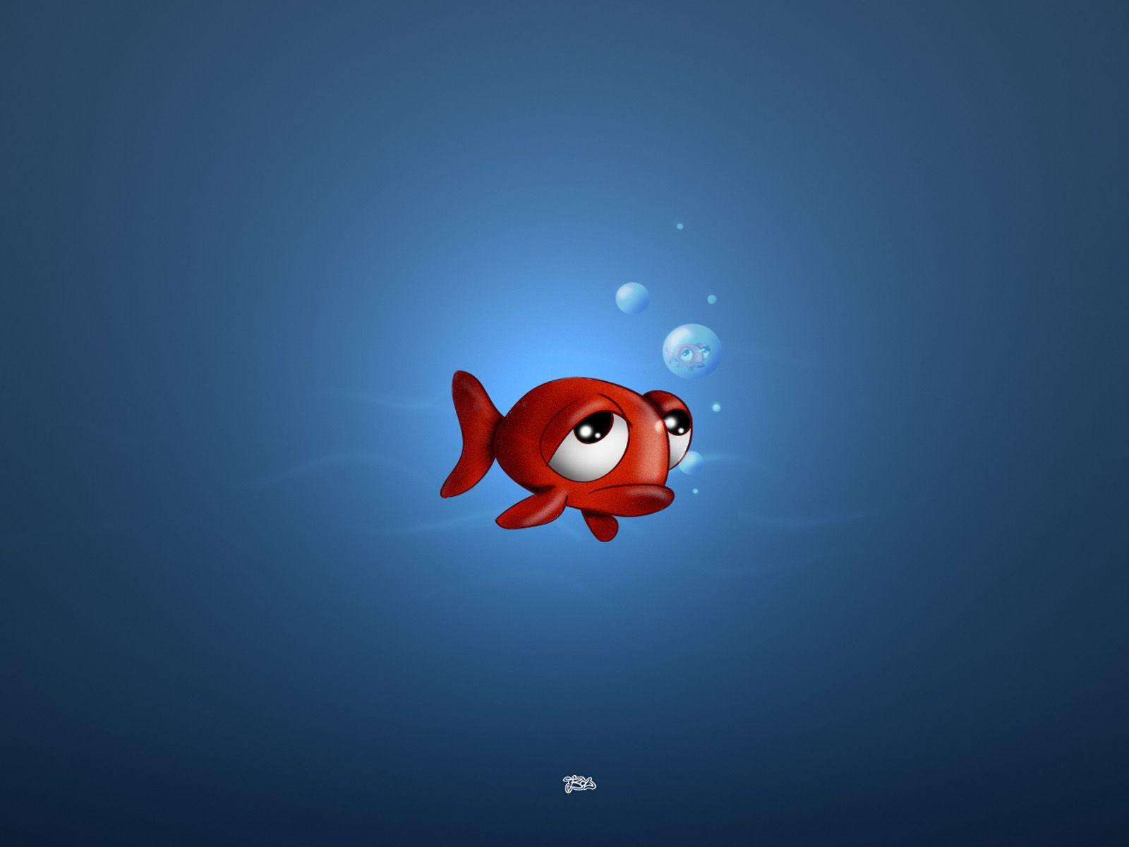 Sad fish wallpaper