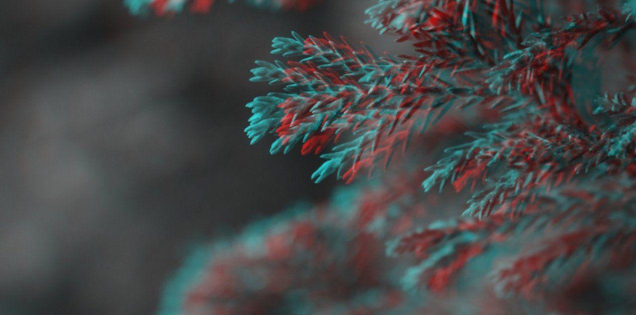 3D Stereoscopic Macro Red Cyan Anaglyph Colorcode
