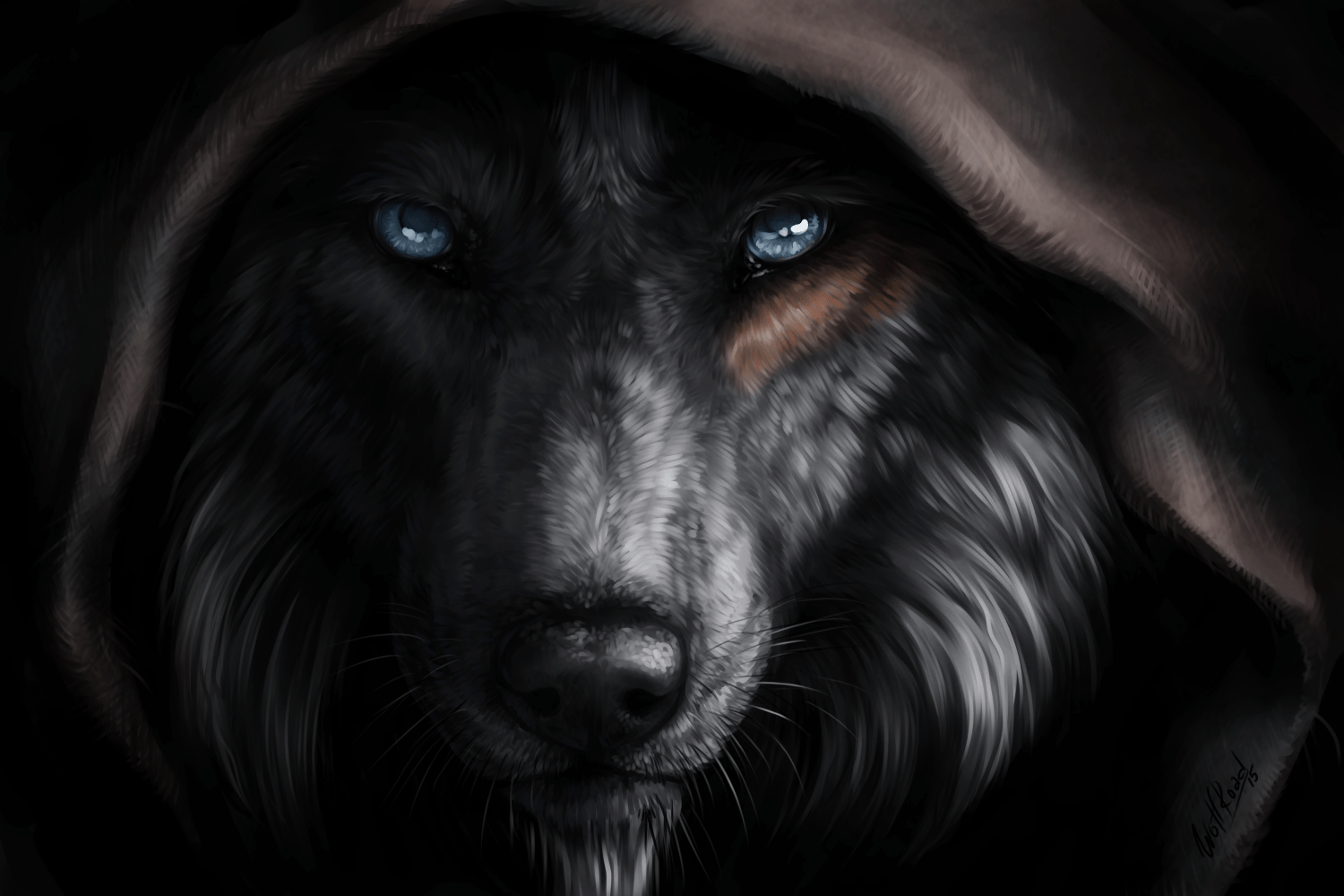 Amazing animals Black wolf 1 by PunkerLazar on DeviantArt