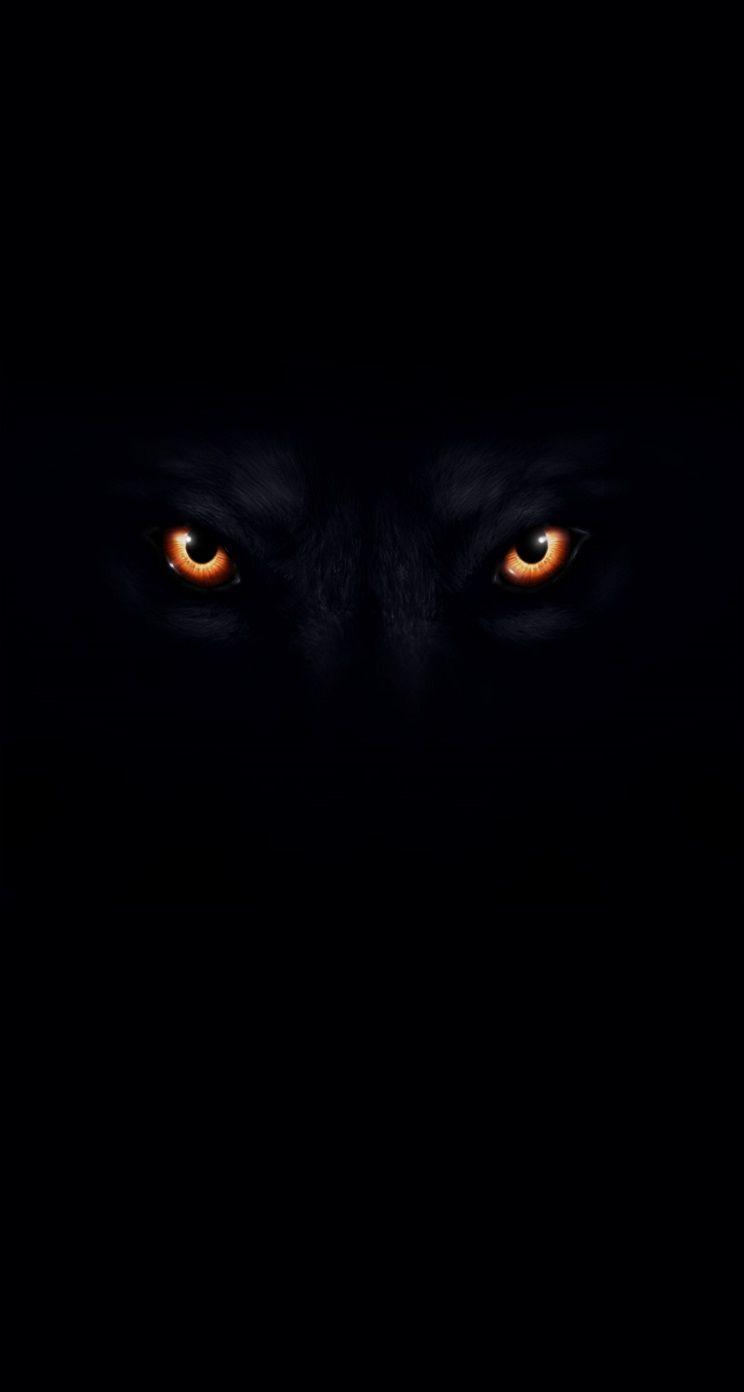 Wolf Wallpaper 4K Scary Gradient Dark background 4779