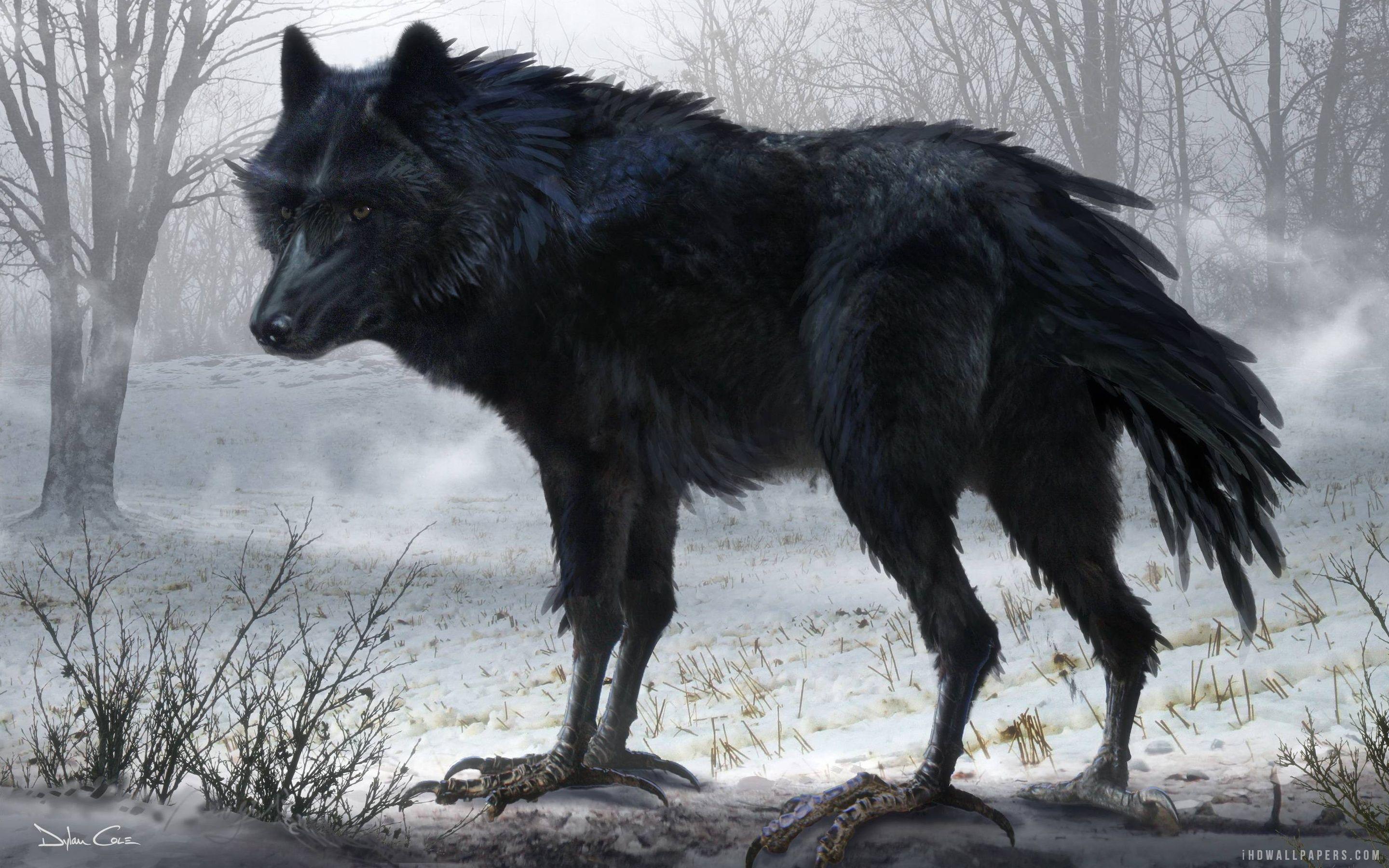 Black Wolf Art wallpaper. creative and graphics
