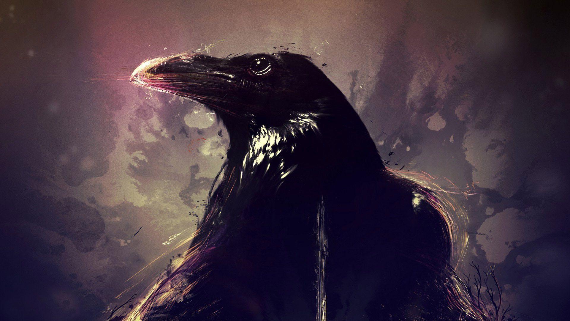 Crow Wallpapers HD - Wallpaper Cave