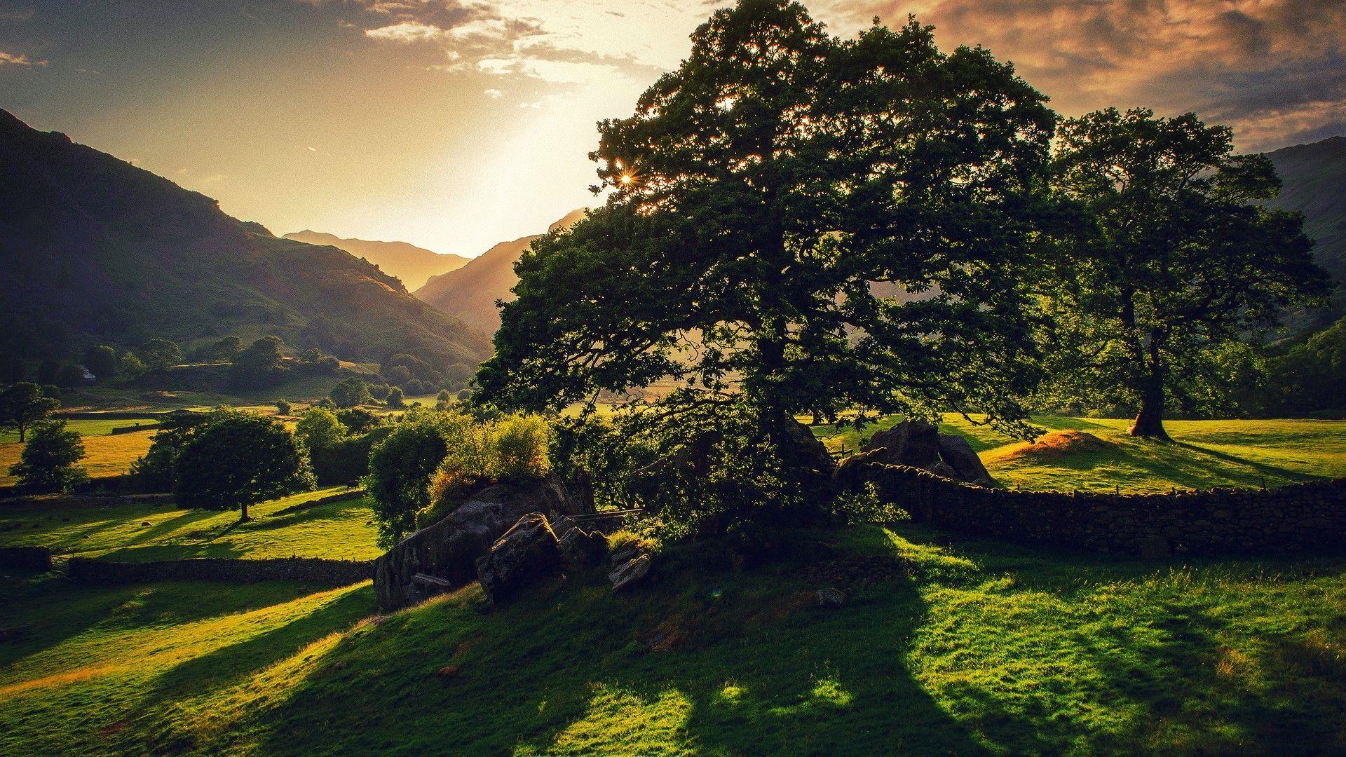 HD english countryside wallpapers  Peakpx