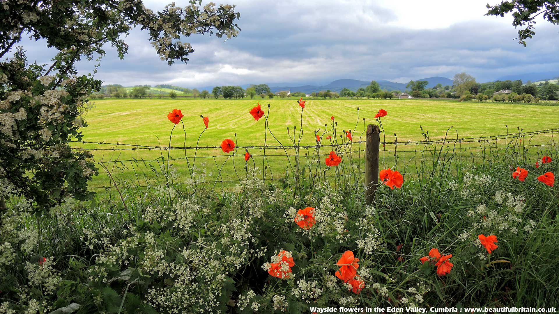 The British Countryside Scenery Wallpaper