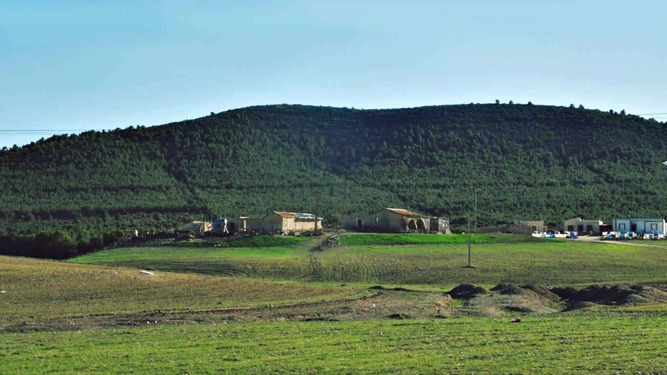 Landscapes: Nature Alberta Landscape Canada Assiniboine Snow