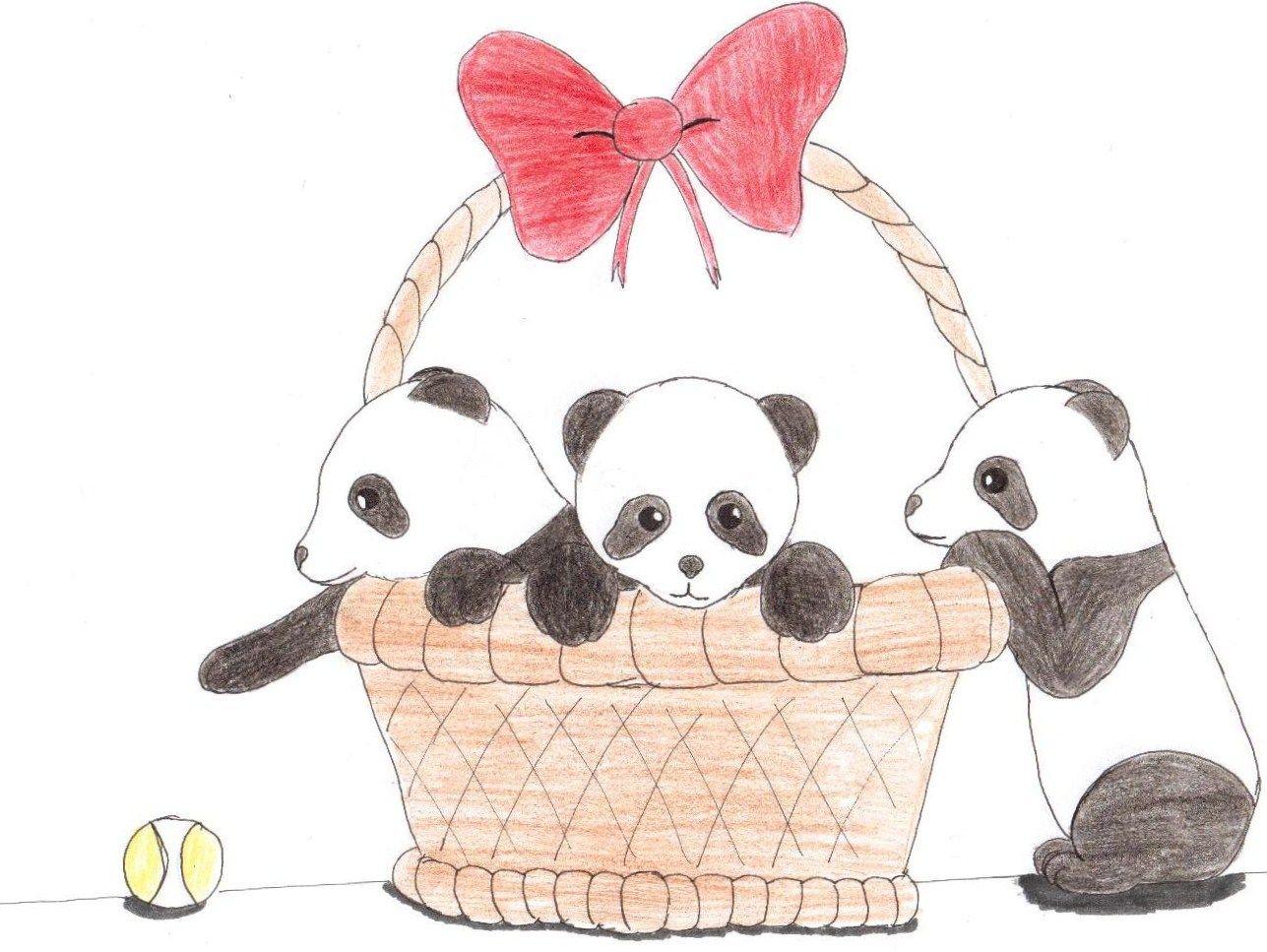Cute Panda Anime Wallpaper. HD Wallpaper. Panda