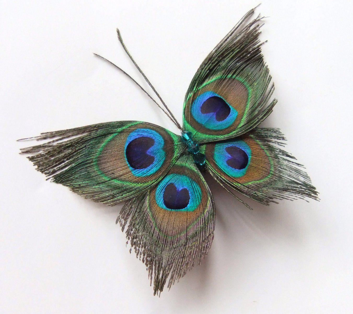 Beautiful Peacock Feather Butterfly Image. Beautiful image HD